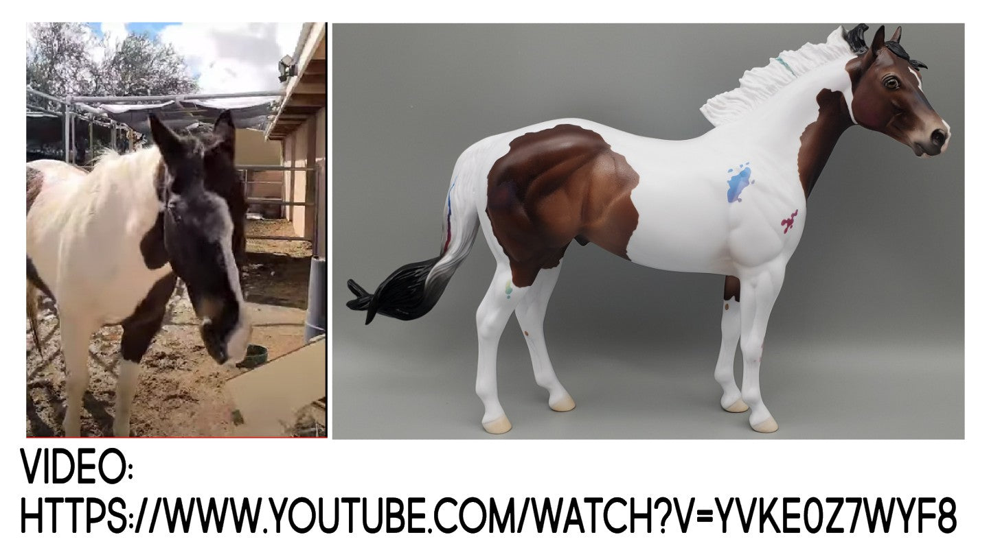 Kokomo Bay Tobiano Custom Ideal Stock Horse with Optional Paint Splashes by Ashley Palmer and Ellen Robbins AoTH23