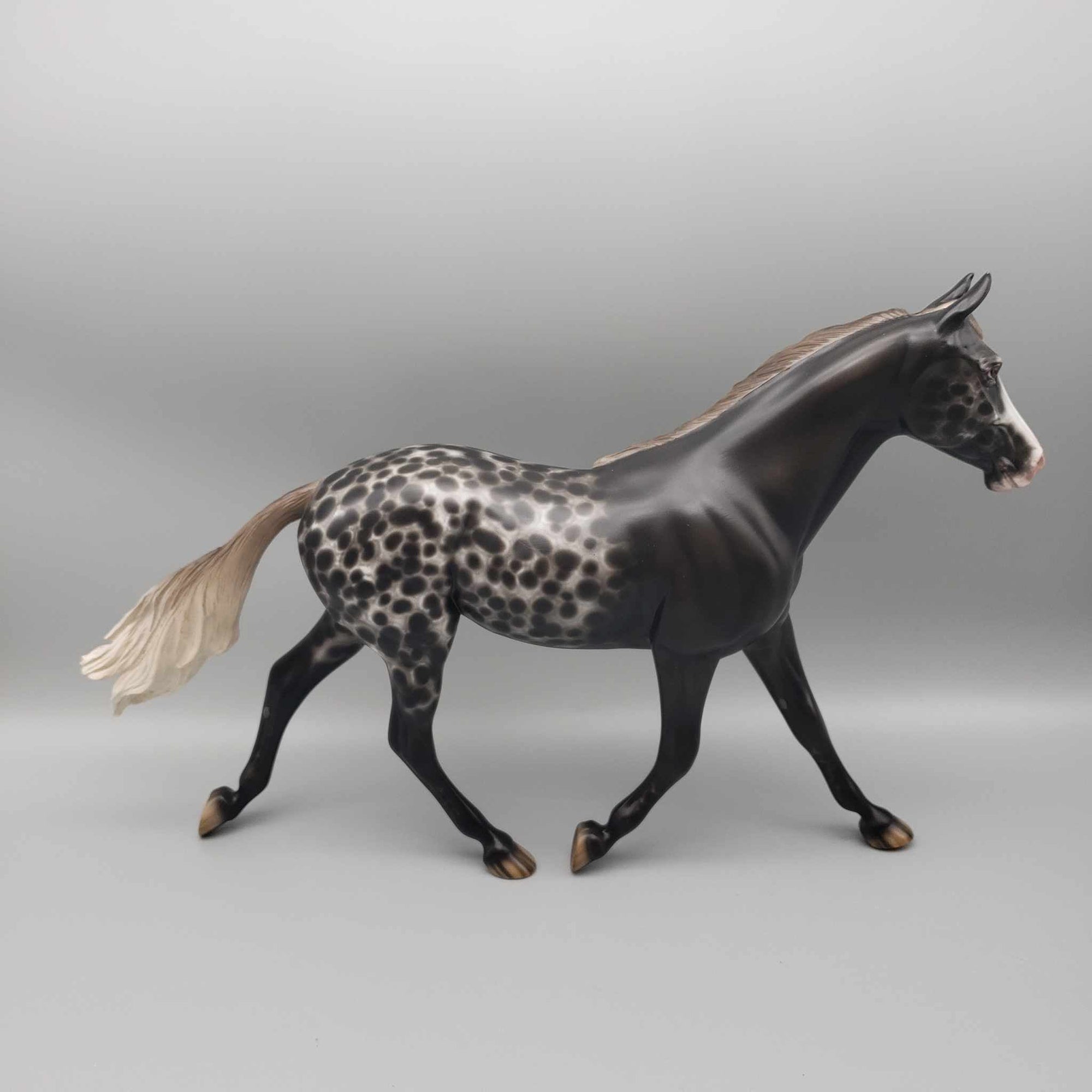 Blackberry Pie OOAK Black Appaloosa Palouse By Sheryl Leisure Best Offers 12/26/23