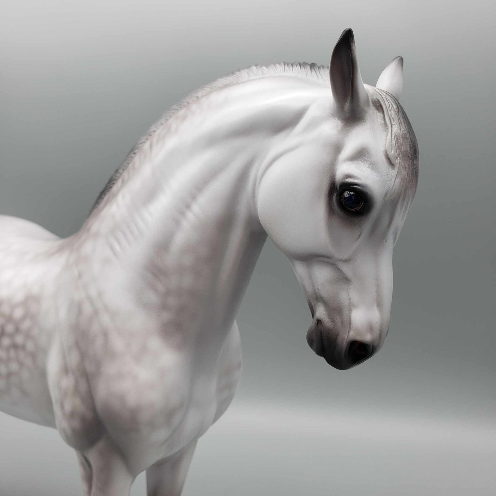 Boeing OOAK Dappled Grey Andalusian By Caroline Boydston Best Offer 11/6/23