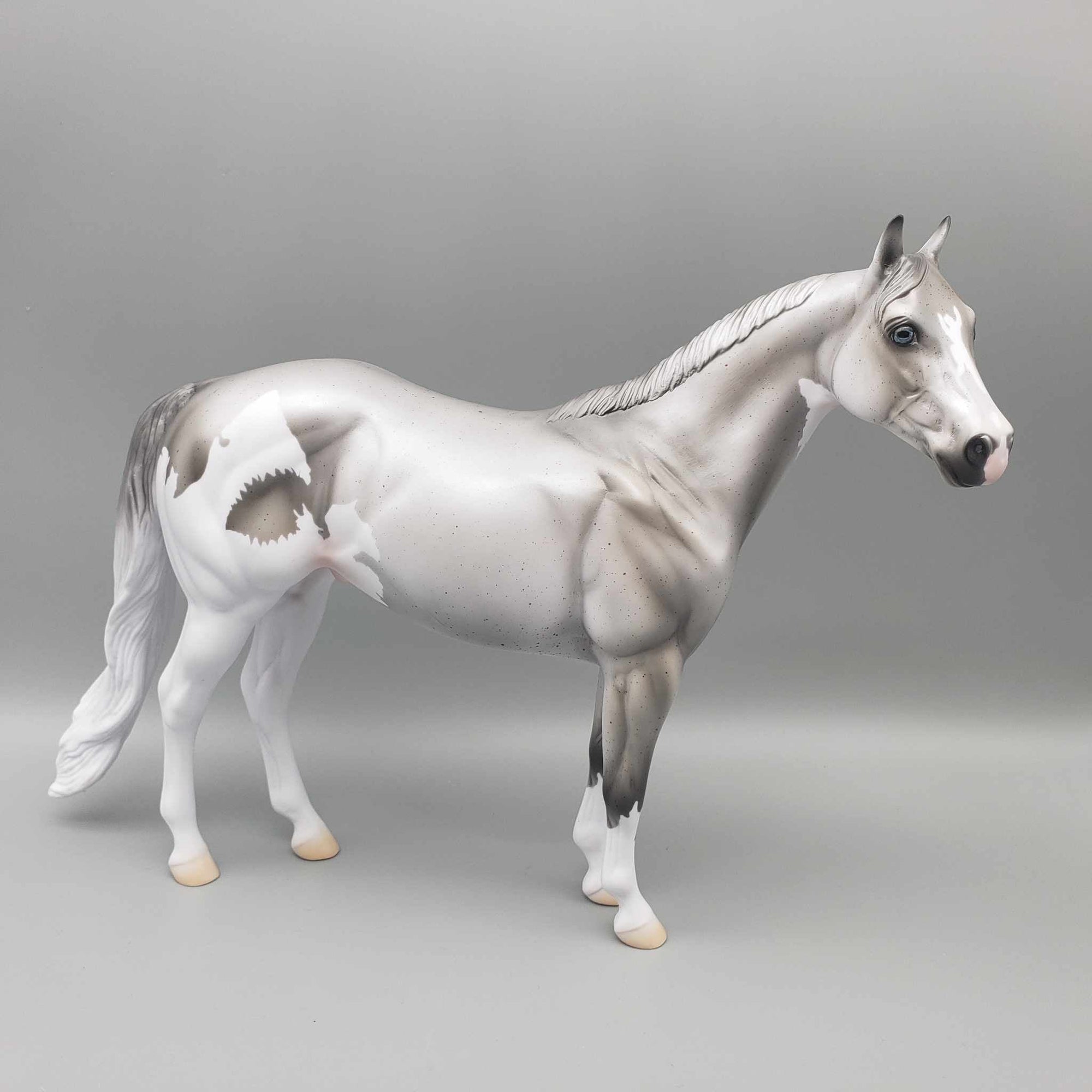 TRADITIONAL SIZE Shark Attack and Whale Shark Patterns | DAH Special July 2023