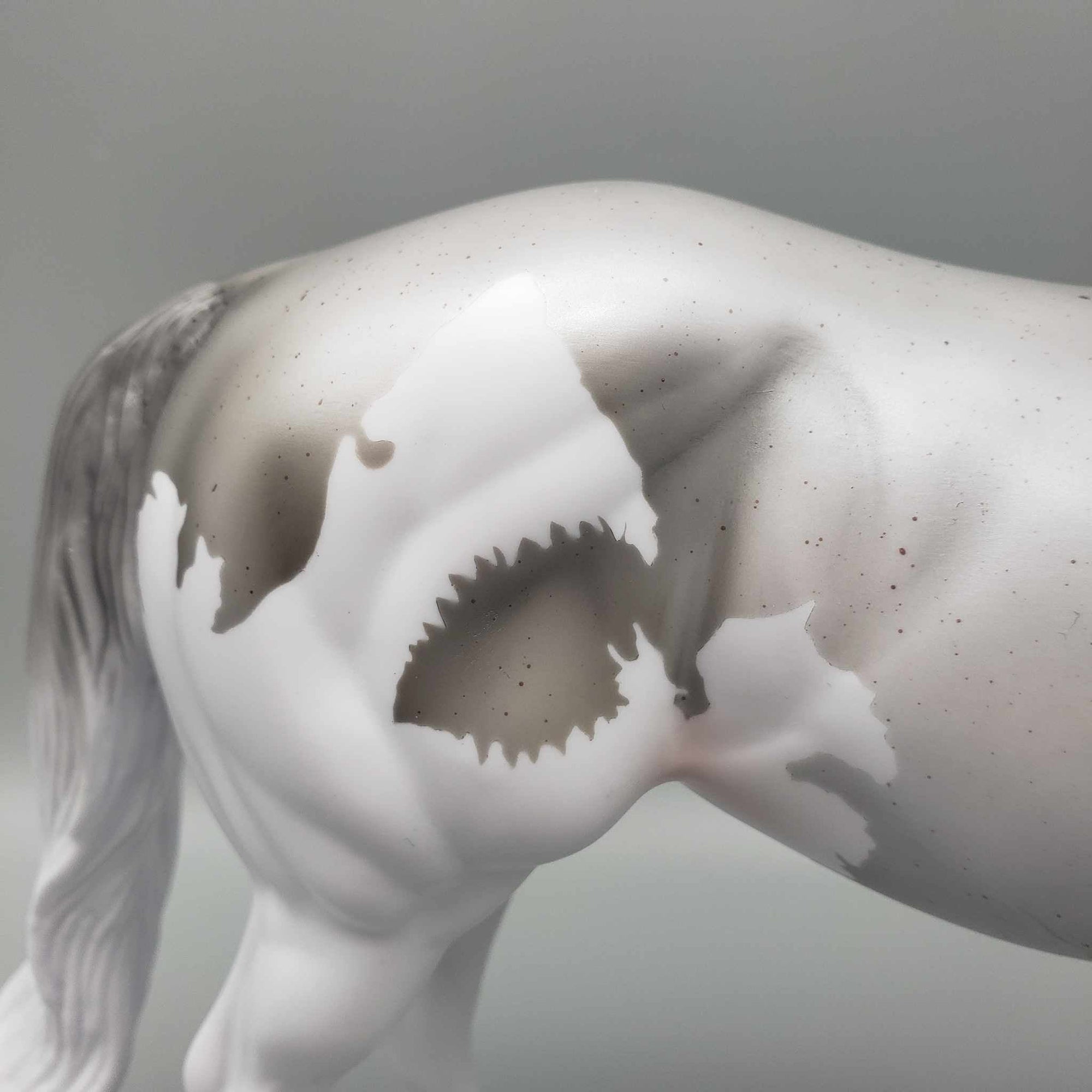 CHIP SIZE Shark Attack and Whale Shark Patterns | DAH Special July 2023