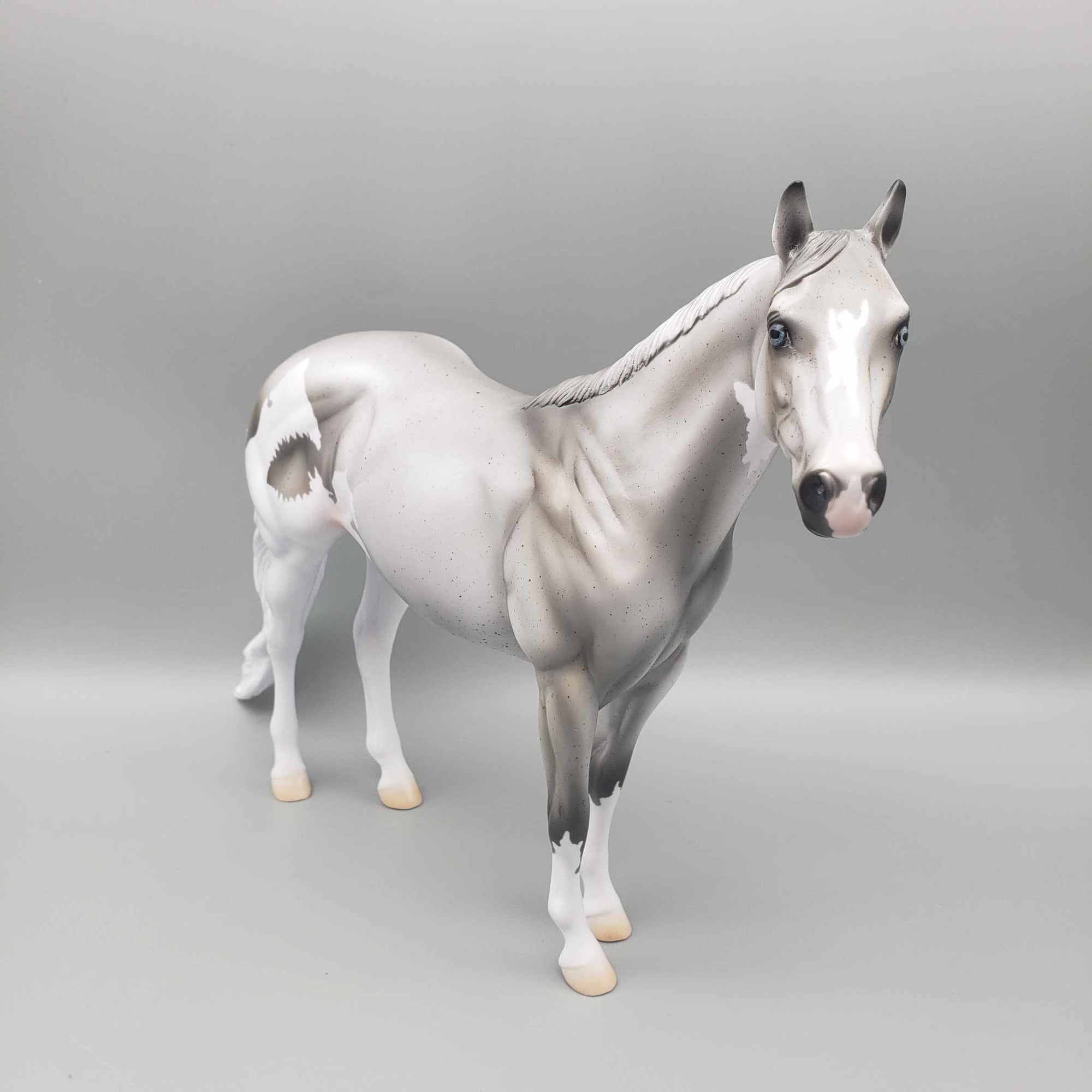 TRADITIONAL SIZE Shark Attack and Whale Shark Patterns | DAH Special July 2023