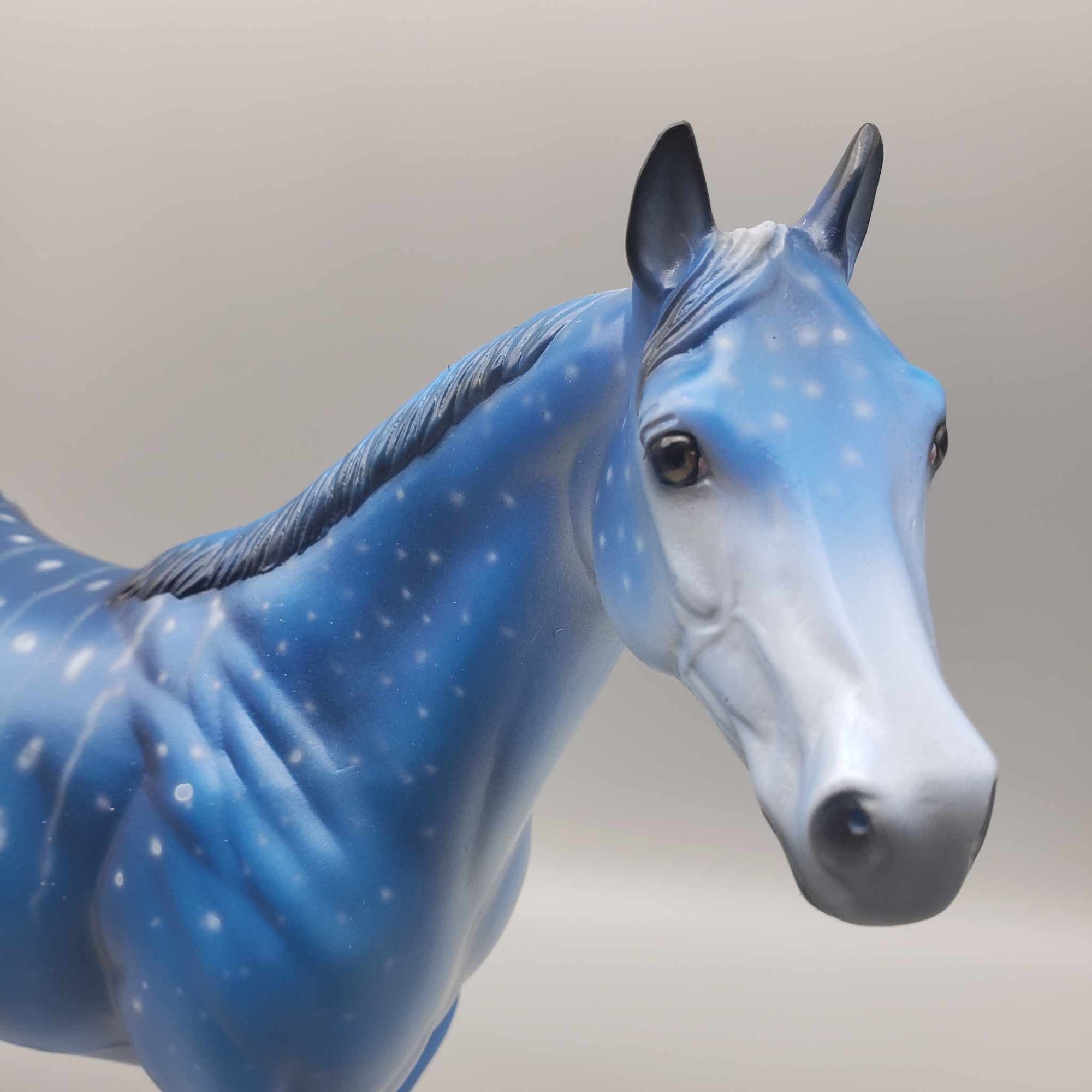 TRADITIONAL SIZE Shark Attack and Whale Shark Patterns | DAH Special July 2023