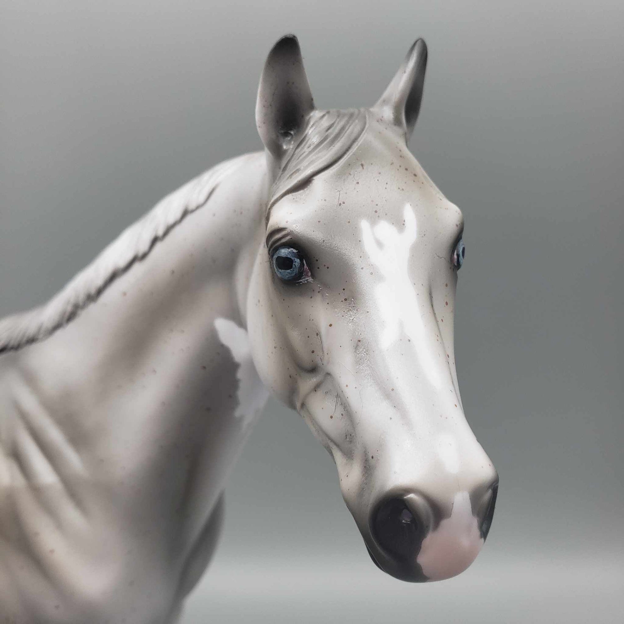 CHIP SIZE Shark Attack and Whale Shark Patterns | DAH Special July 2023