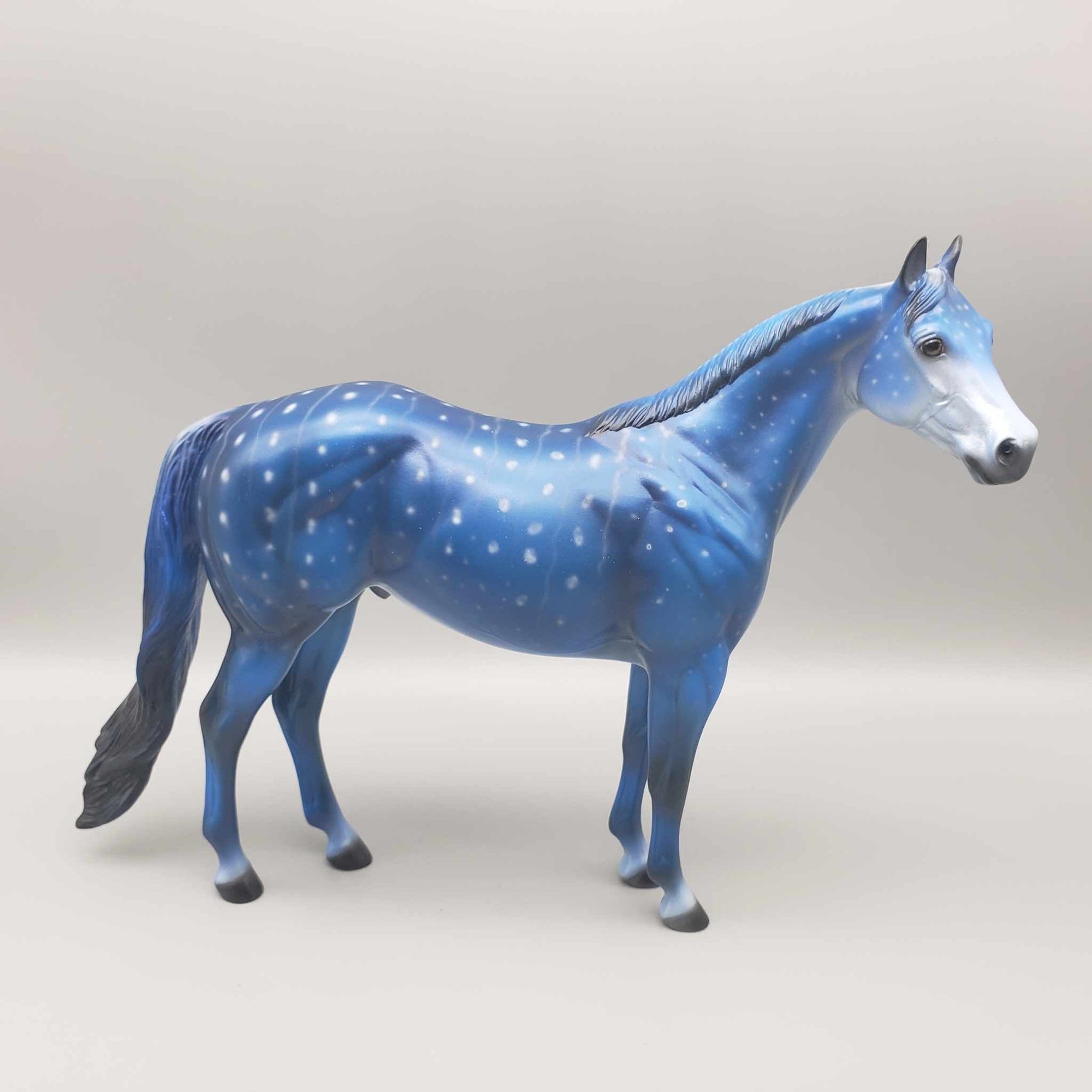 CHIP SIZE Shark Attack and Whale Shark Patterns | DAH Special July 2023