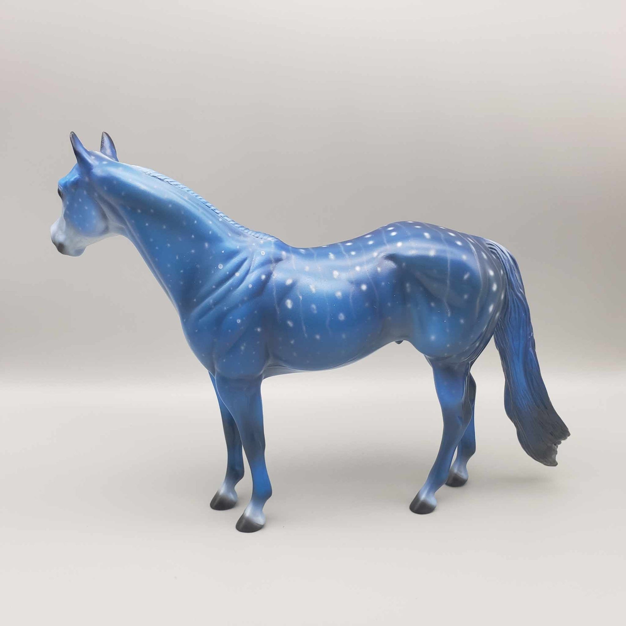 TRADITIONAL SIZE Shark Attack and Whale Shark Patterns | DAH Special July 2023