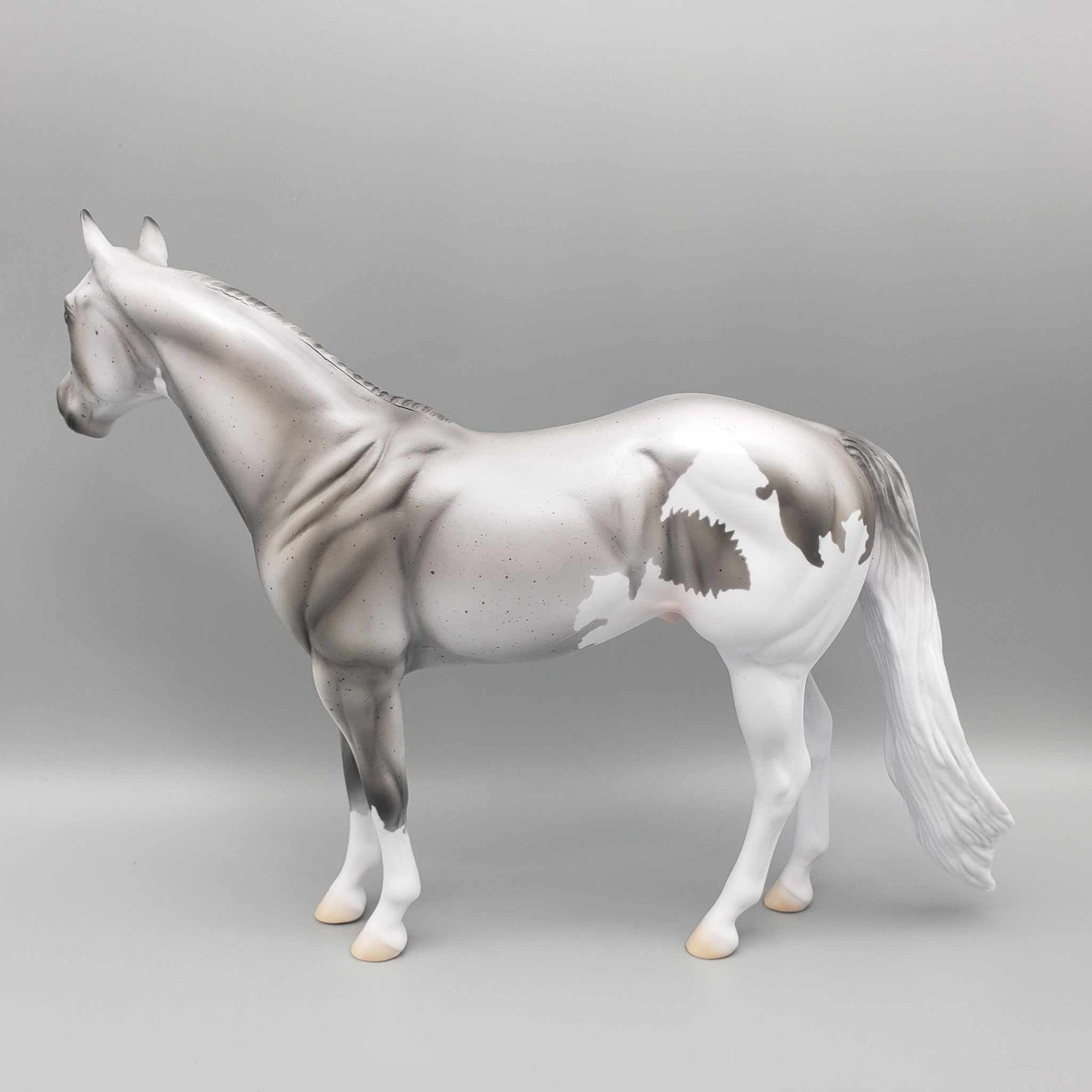 CHIP SIZE Shark Attack and Whale Shark Patterns | DAH Special July 2023