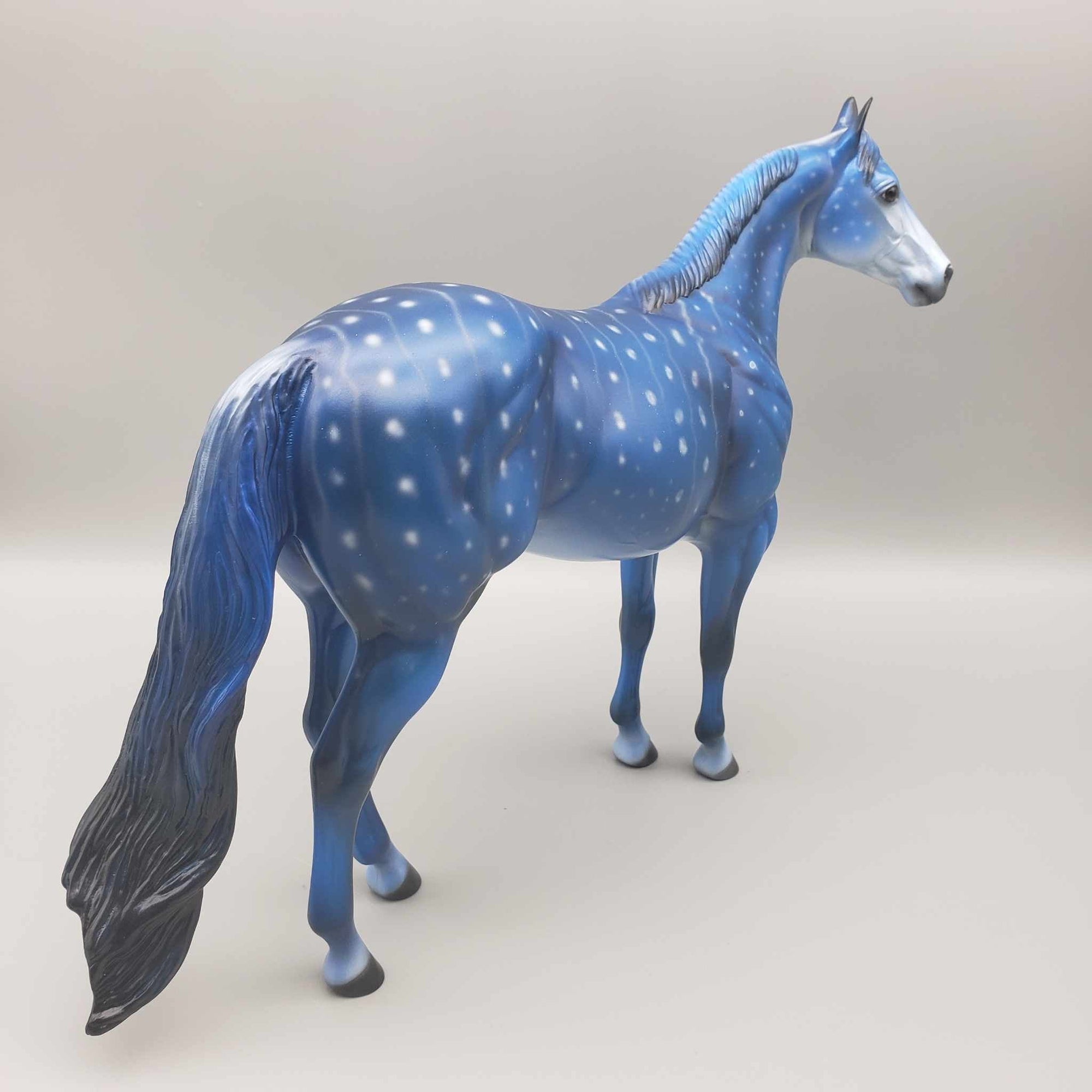 CHIP SIZE Shark Attack and Whale Shark Patterns | DAH Special July 2023