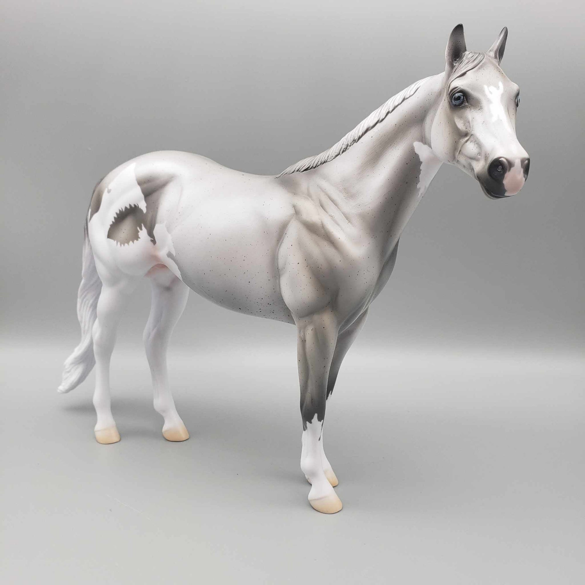 CHIP SIZE Shark Attack and Whale Shark Patterns | DAH Special July 2023