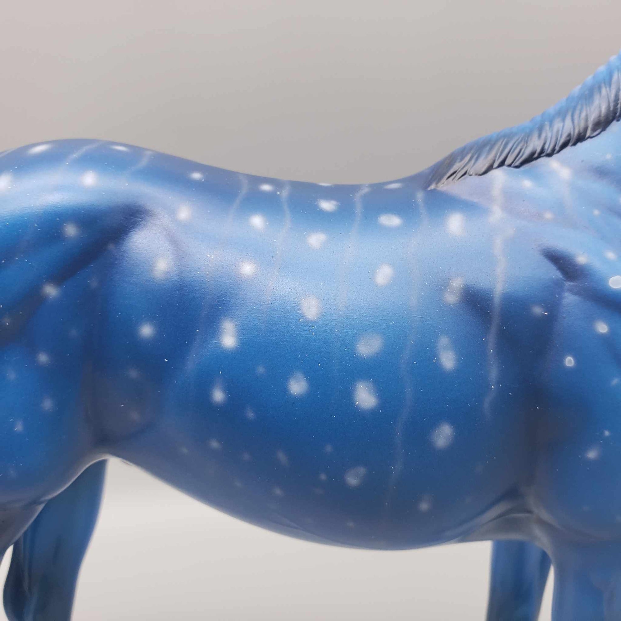 TRADITIONAL SIZE Shark Attack and Whale Shark Patterns | DAH Special July 2023