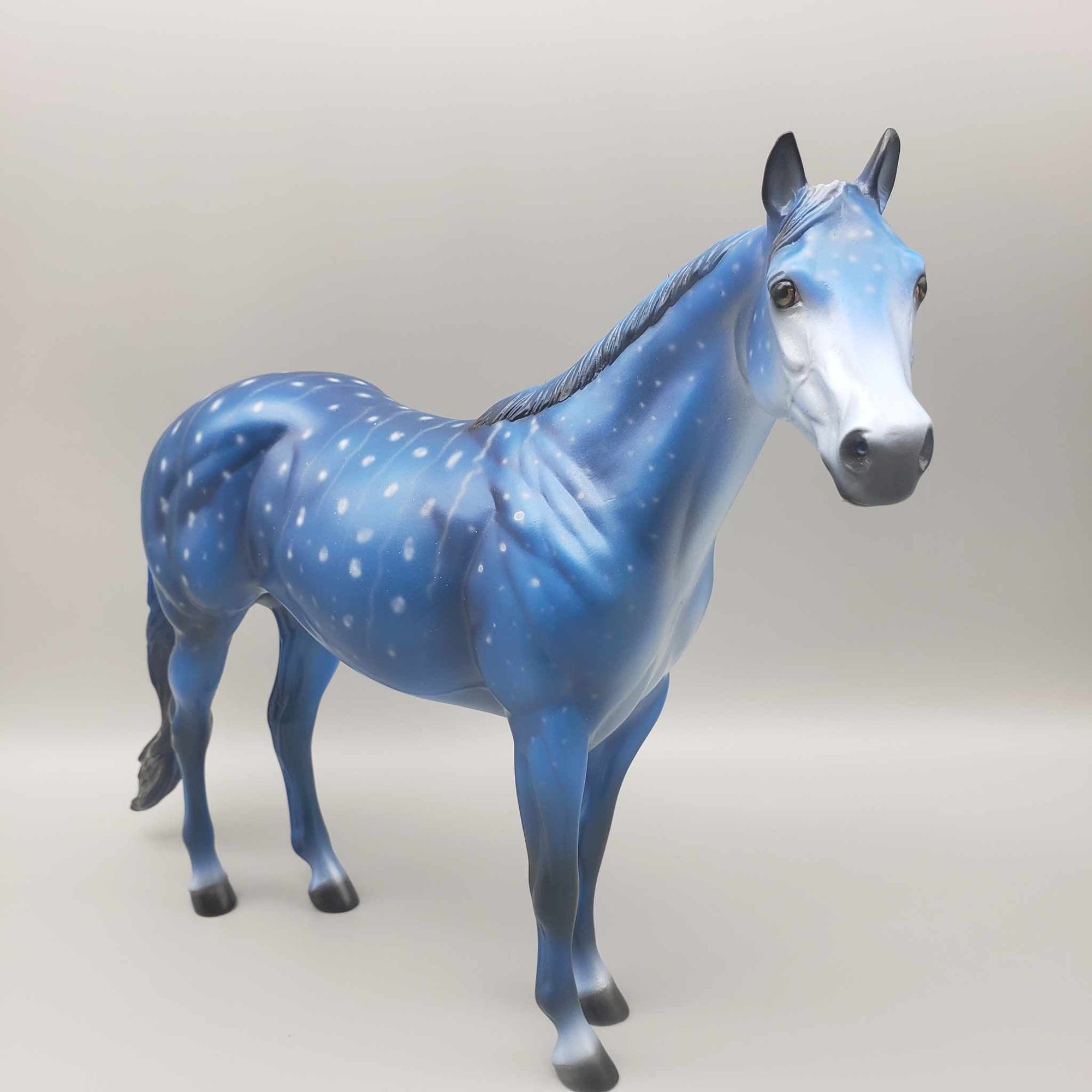 TRADITIONAL SIZE Shark Attack and Whale Shark Patterns | DAH Special July 2023