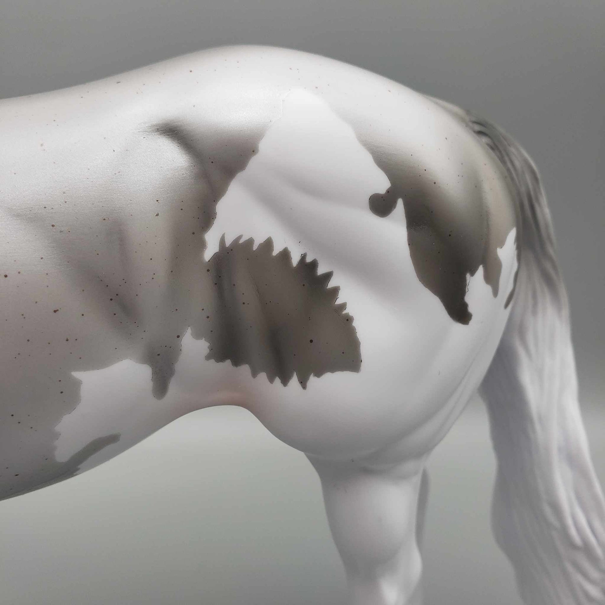 CHIP SIZE Shark Attack and Whale Shark Patterns | DAH Special July 2023