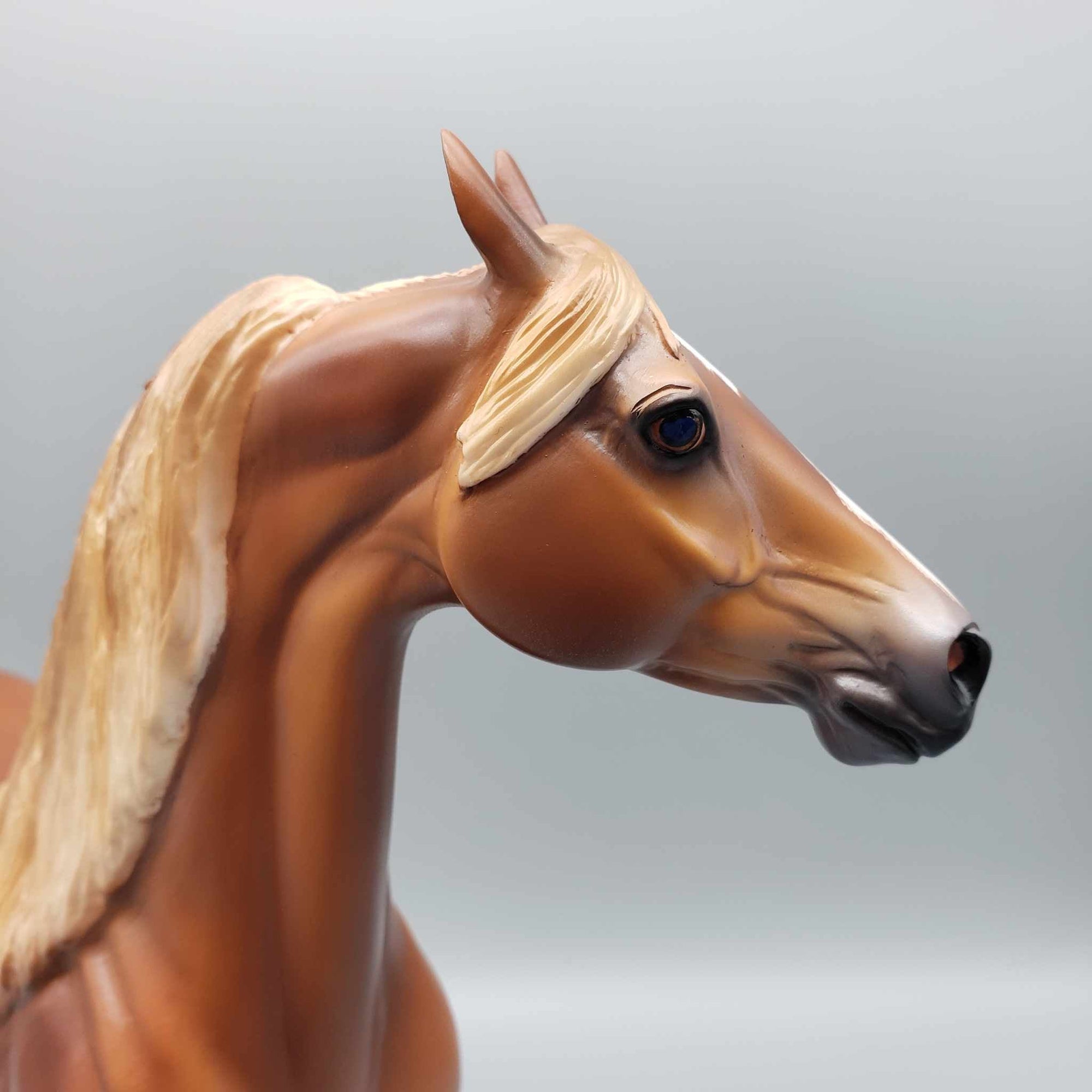 Mojave OOAK Dappled Chestnut Extreme Custom Arab Stallion Turned Into Saddlebred By Caroline Boydston Best Offers 8/7/23