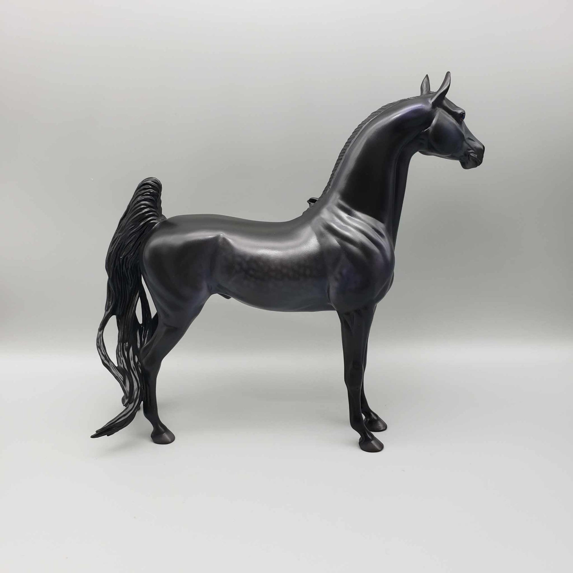 The Raven OOAK Dappled Black Extreme Custom Arab Stallion Turned Into Saddlebred By Caroline Boydston Best Offers 8/7/23