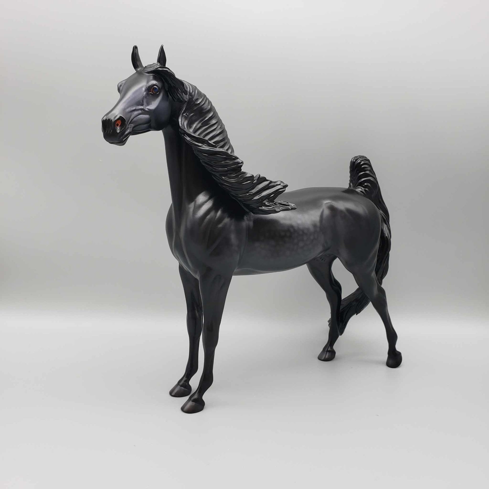 The Raven OOAK Dappled Black Extreme Custom Arab Stallion Turned Into Saddlebred By Caroline Boydston Best Offers 8/7/23