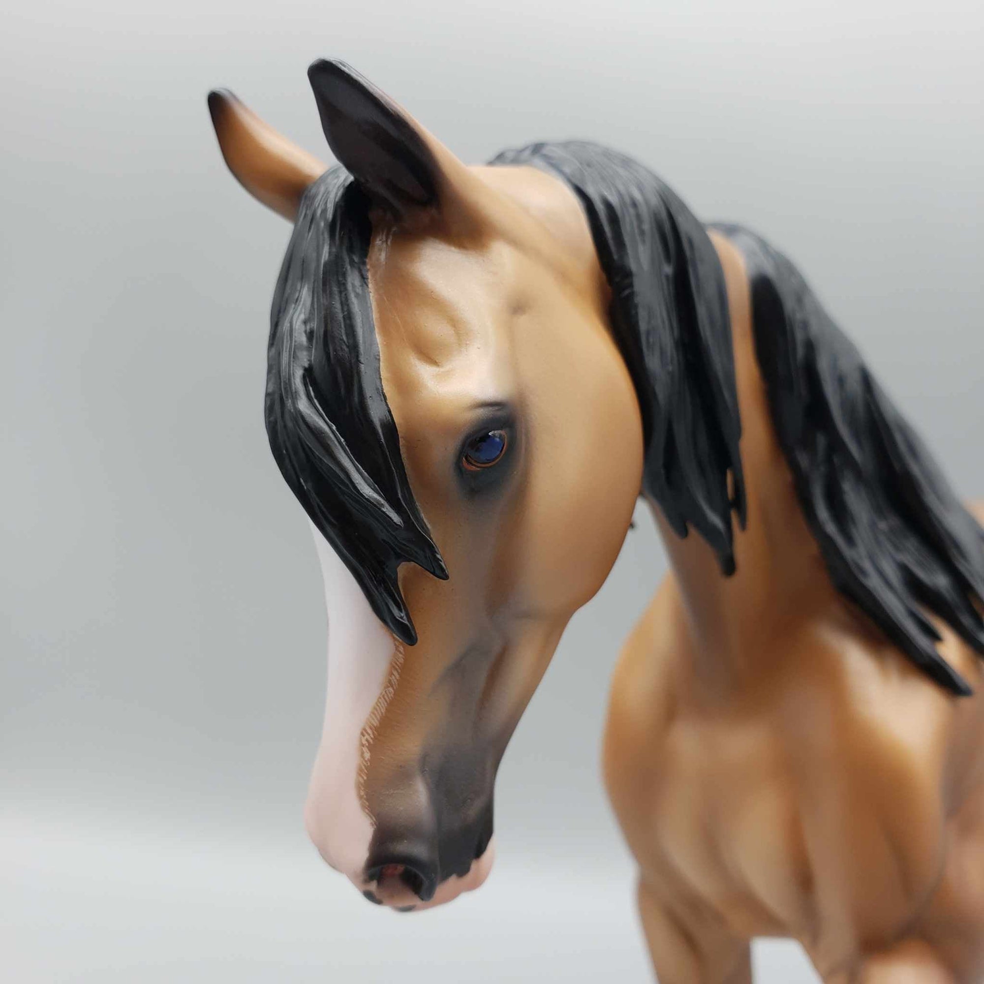 Lantana OOAK Dappled Buckskin Custom Arab Mare By Caroline Boydston Best Offers 8/7/23