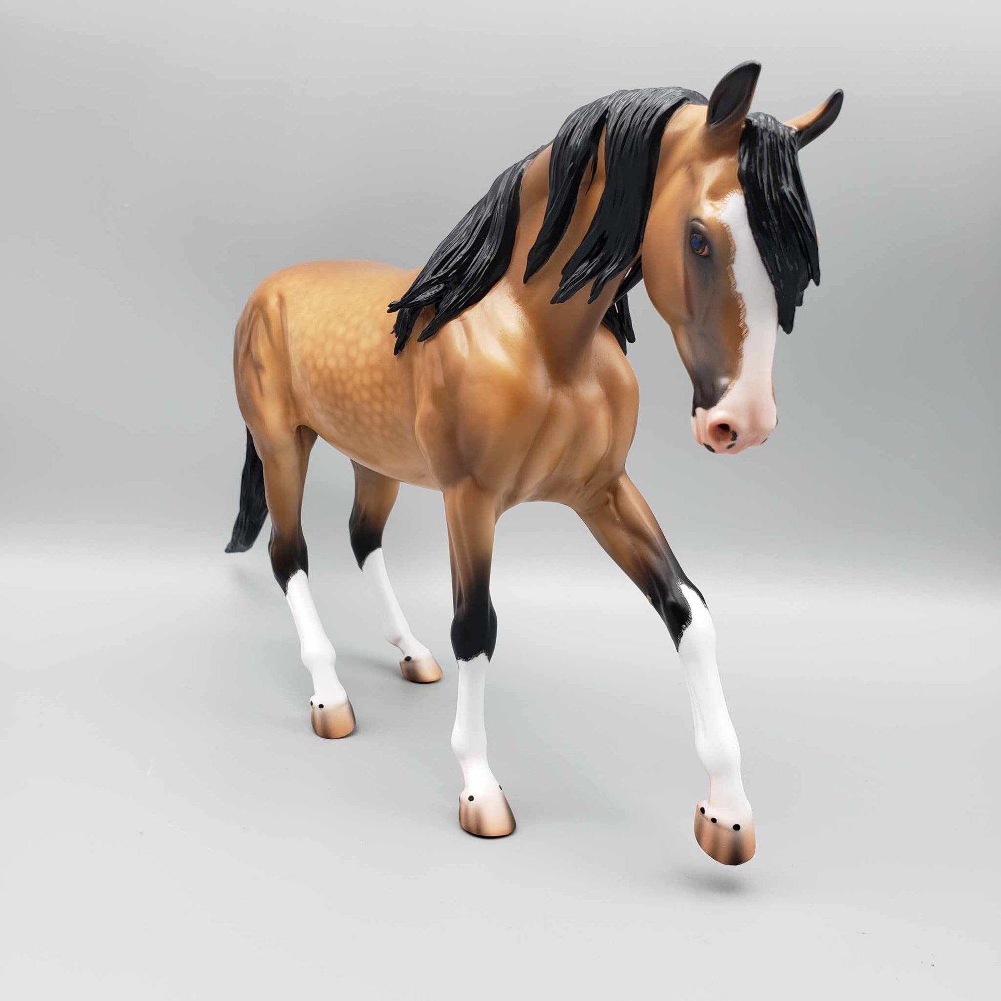 Lantana OOAK Dappled Buckskin Custom Arab Mare By Caroline Boydston Best Offers 8/7/23