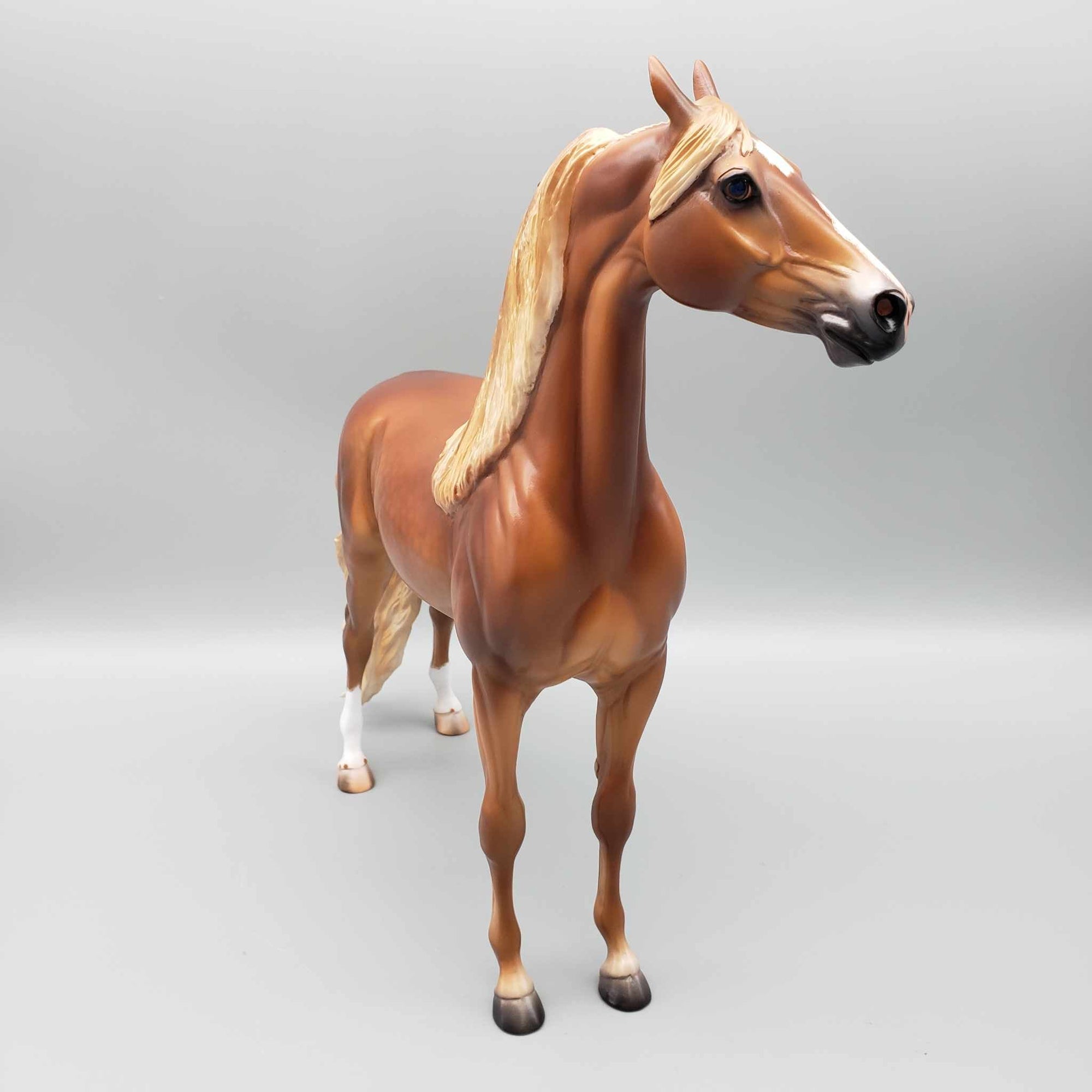 Mojave OOAK Dappled Chestnut Extreme Custom Arab Stallion Turned Into Saddlebred By Caroline Boydston Best Offers 8/7/23