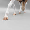 Atacama OOAK Red Roan Tobiano Irish Draught By Caroline Boydston Best Offers 8/7/23