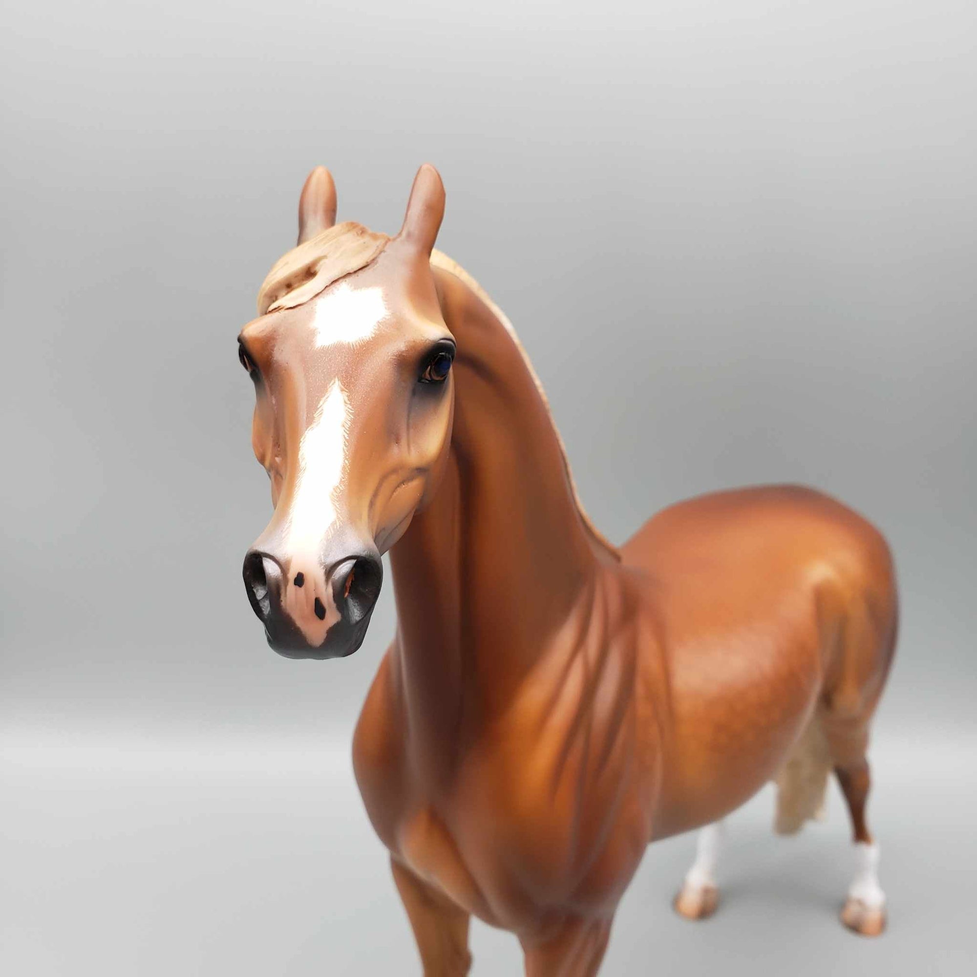 Mojave OOAK Dappled Chestnut Extreme Custom Arab Stallion Turned Into Saddlebred By Caroline Boydston Best Offers 8/7/23