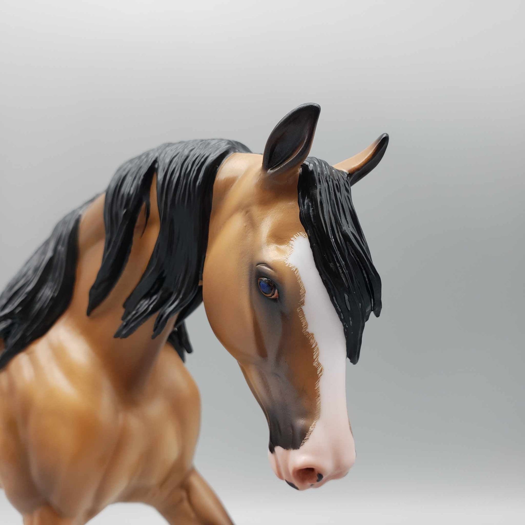 Lantana OOAK Dappled Buckskin Custom Arab Mare By Caroline Boydston Best Offers 8/7/23