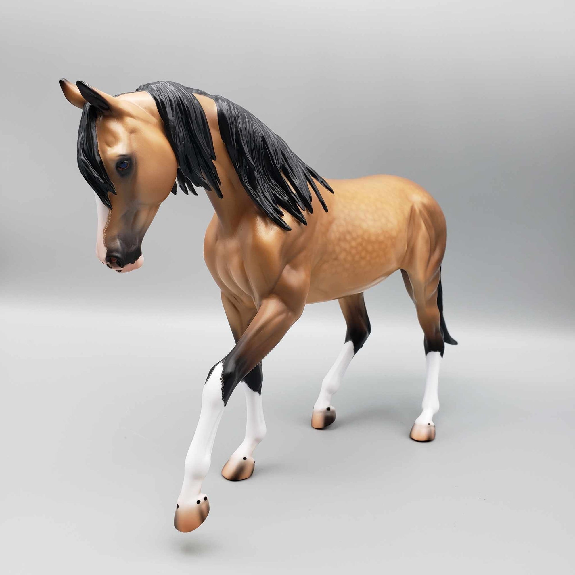 Lantana OOAK Dappled Buckskin Custom Arab Mare By Caroline Boydston Best Offers 8/7/23