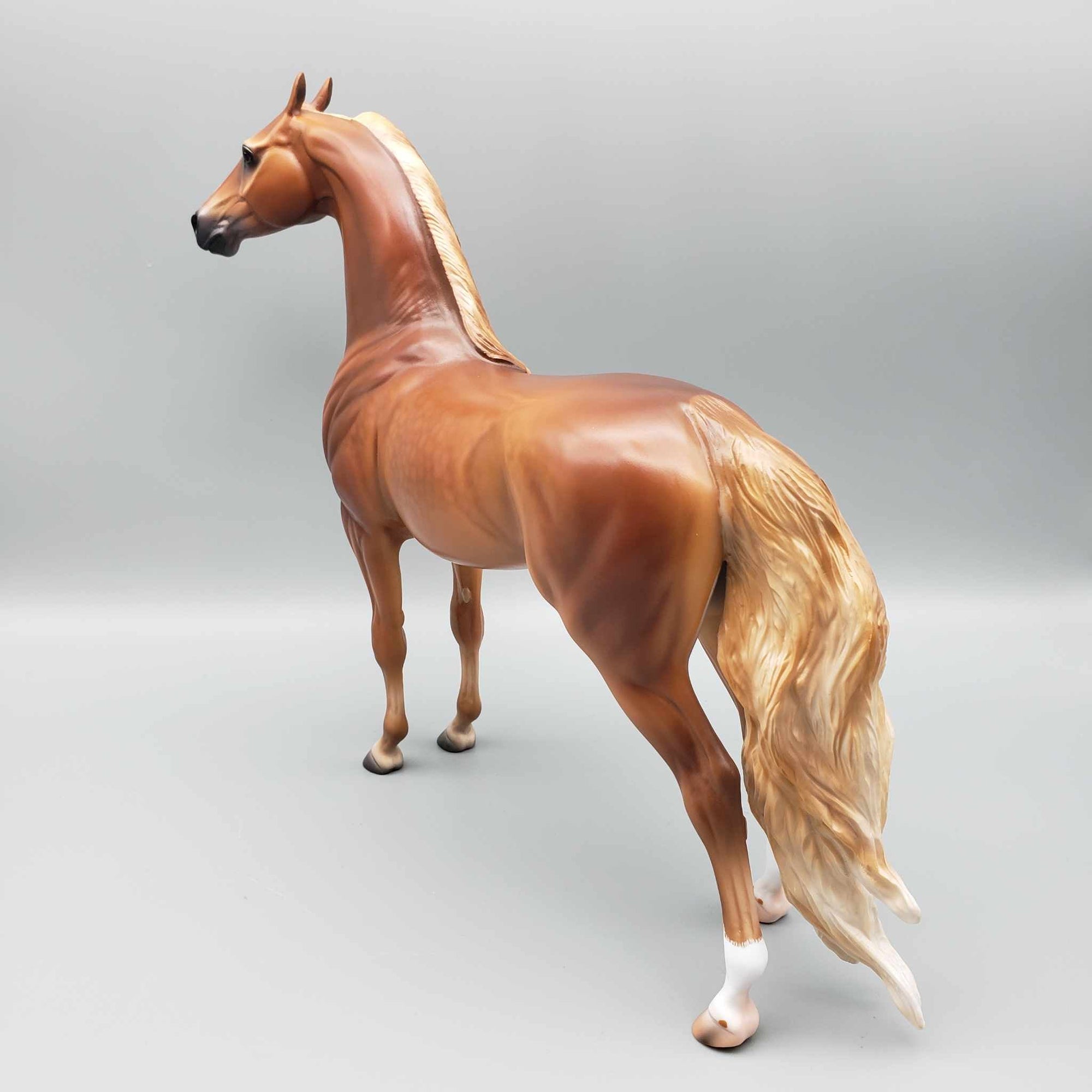 Mojave OOAK Dappled Chestnut Extreme Custom Arab Stallion Turned Into Saddlebred By Caroline Boydston Best Offers 8/7/23