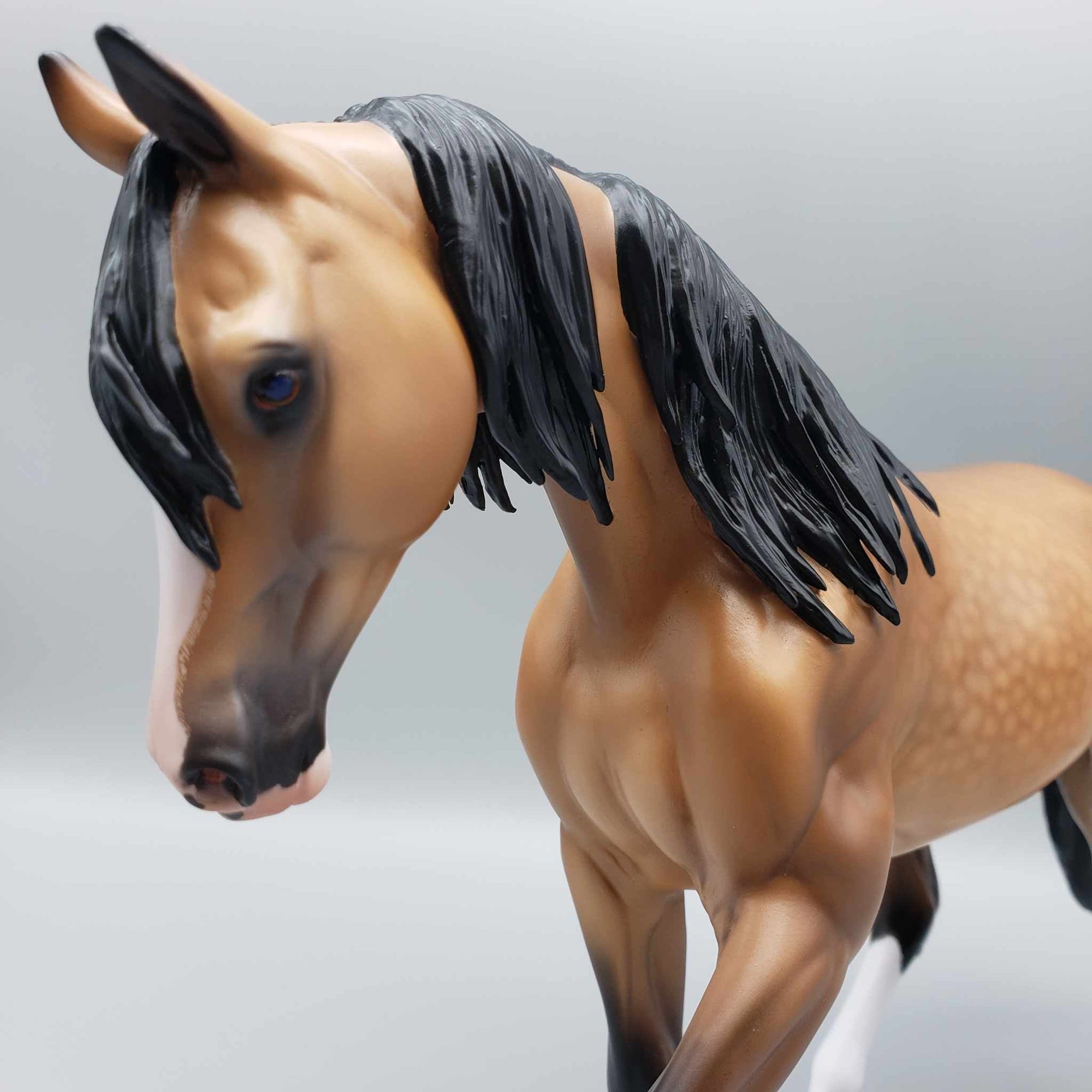 Lantana OOAK Dappled Buckskin Custom Arab Mare By Caroline Boydston Best Offers 8/7/23