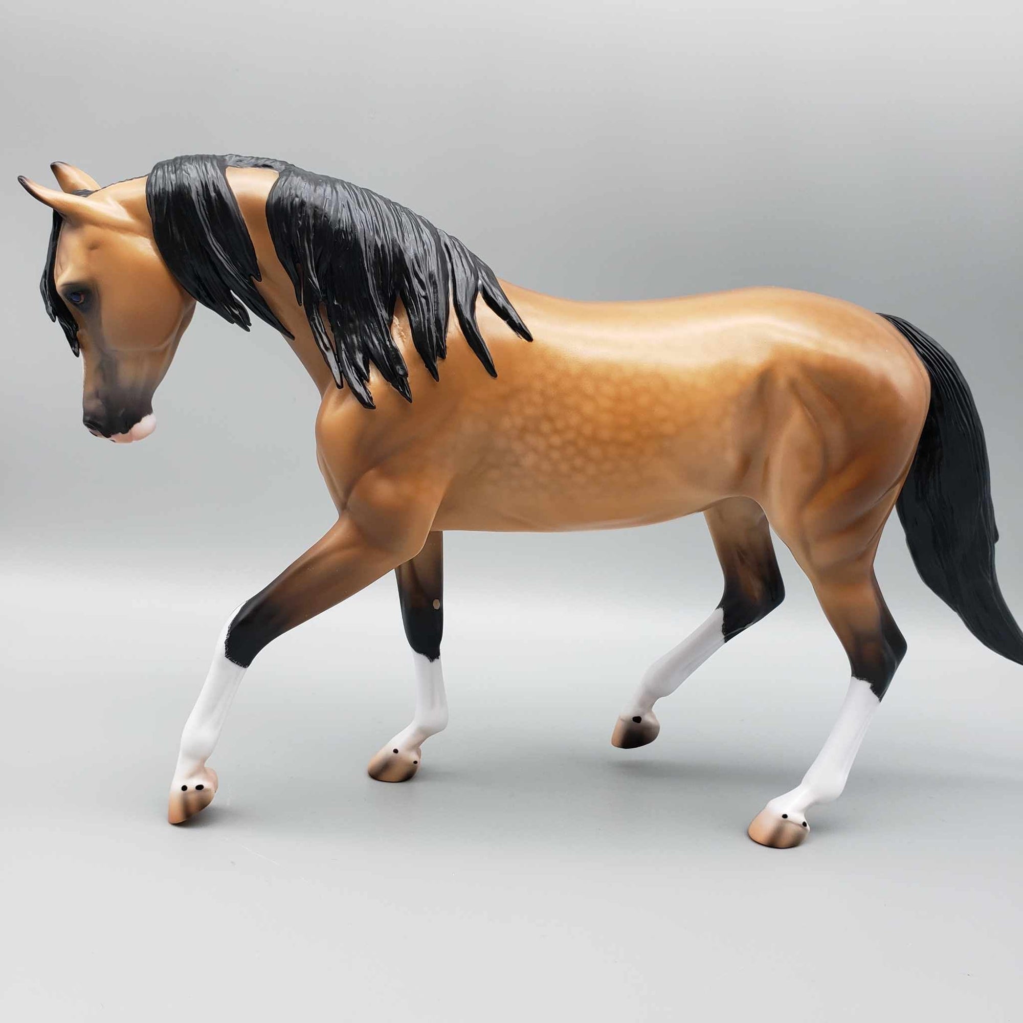 Lantana OOAK Dappled Buckskin Custom Arab Mare By Caroline Boydston Best Offers 8/7/23