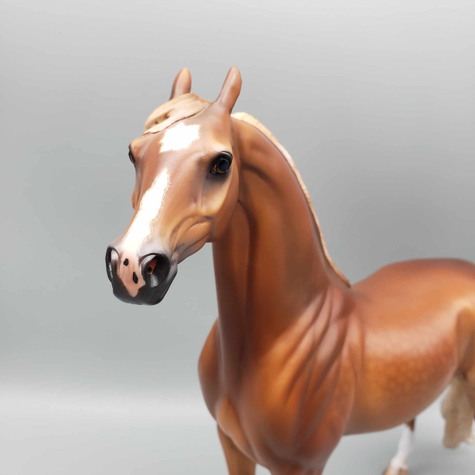 Mojave OOAK Dappled Chestnut Extreme Custom Arab Stallion Turned Into Saddlebred By Caroline Boydston Best Offers 8/7/23