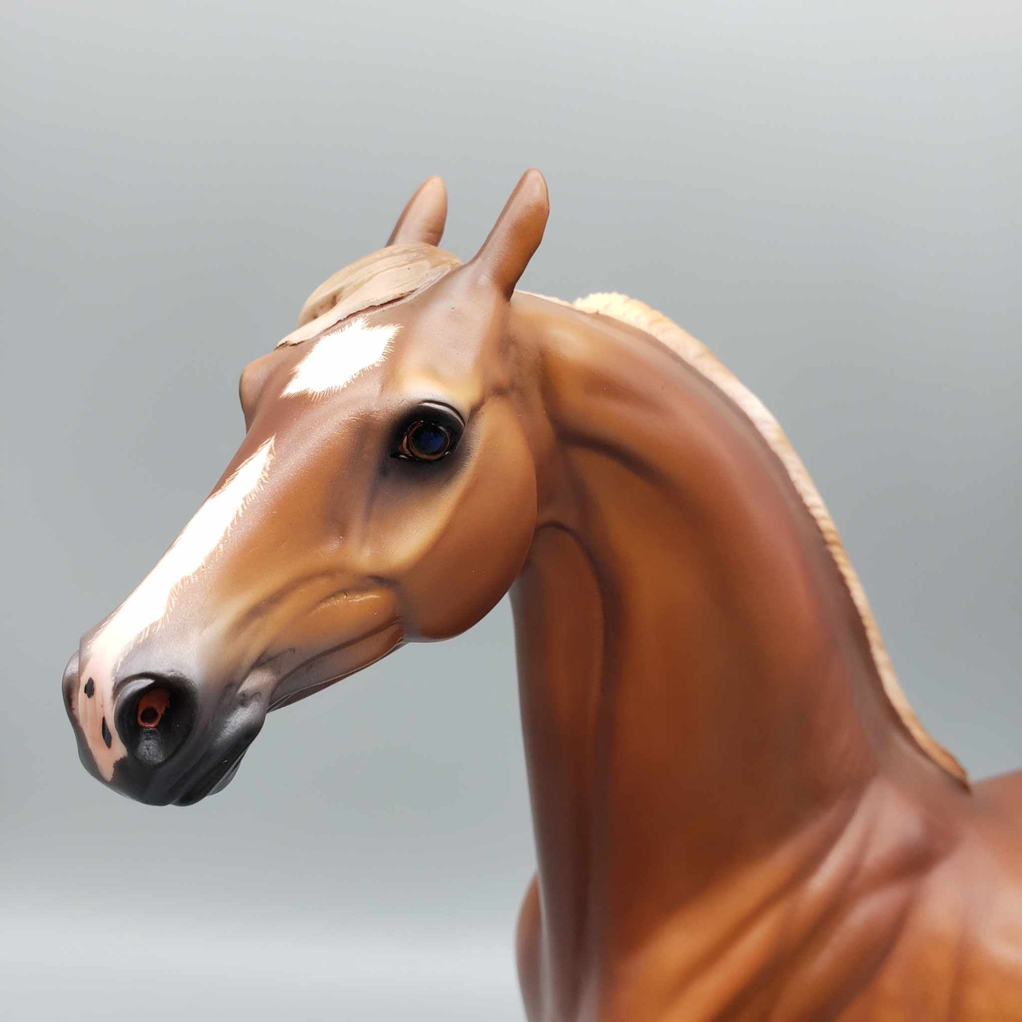 Mojave OOAK Dappled Chestnut Extreme Custom Arab Stallion Turned Into Saddlebred By Caroline Boydston Best Offers 8/7/23