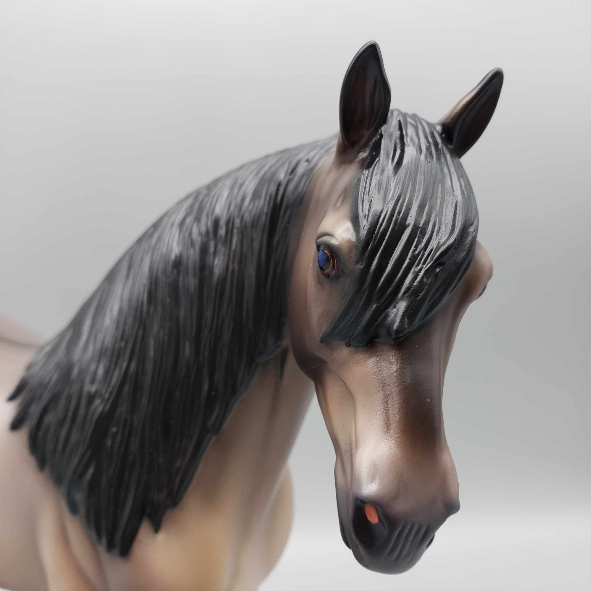 Saguaro OOAK Grulla Friesian Cross Andalusian By Caroline Boydston Best Offers 8/7/23