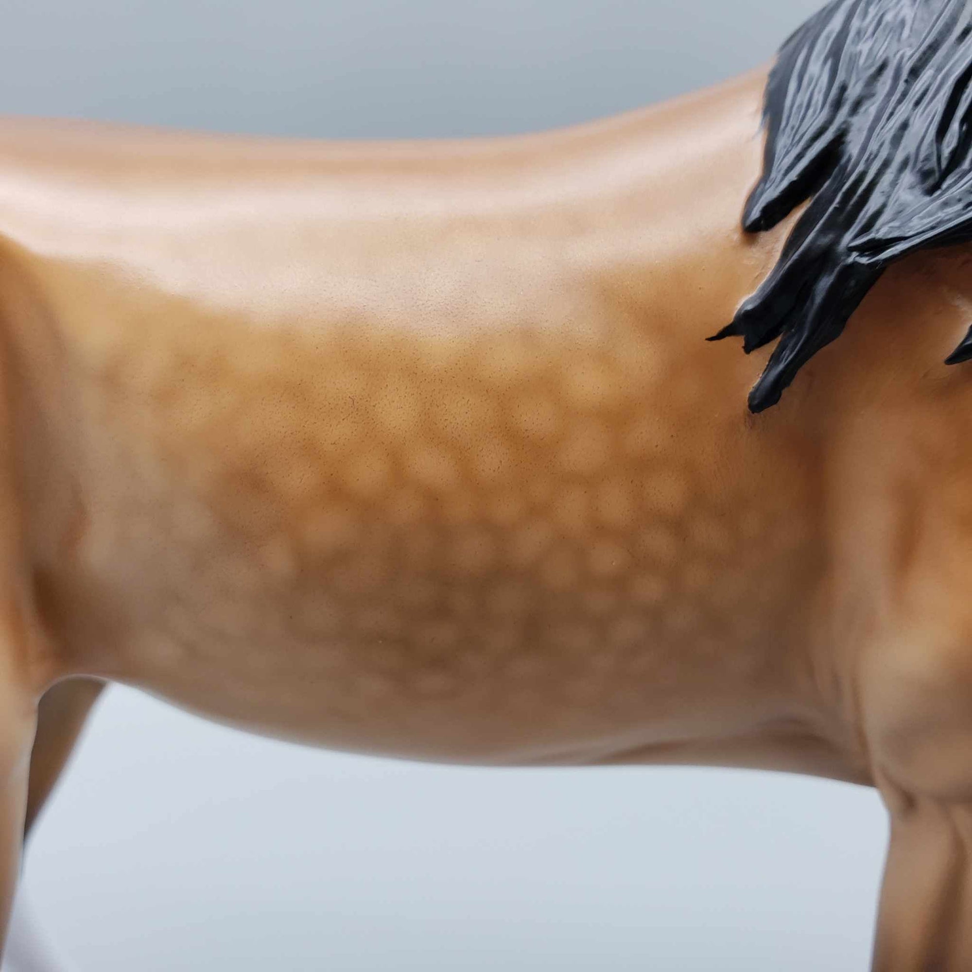 Lantana OOAK Dappled Buckskin Custom Arab Mare By Caroline Boydston Best Offers 8/7/23