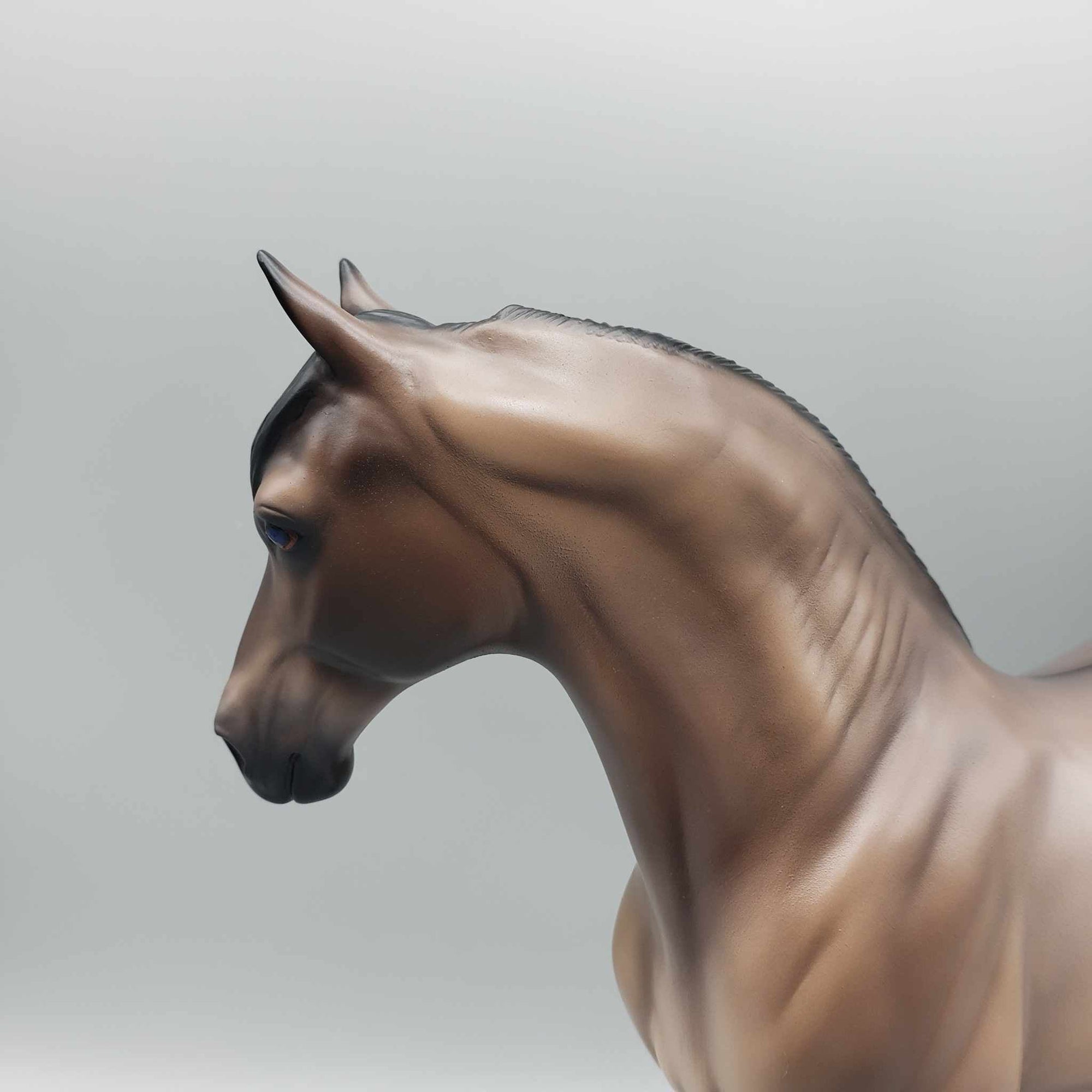 Saguaro OOAK Grulla Friesian Cross Andalusian By Caroline Boydston Best Offers 8/7/23