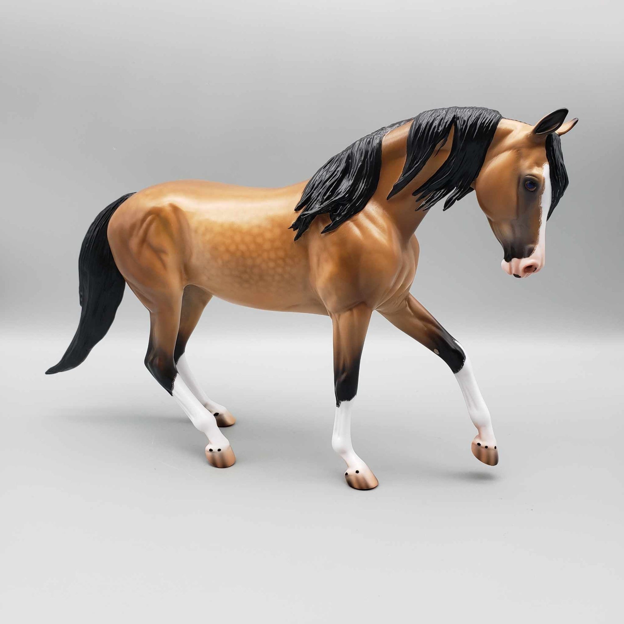 Lantana OOAK Dappled Buckskin Custom Arab Mare By Caroline Boydston Best Offers 8/7/23