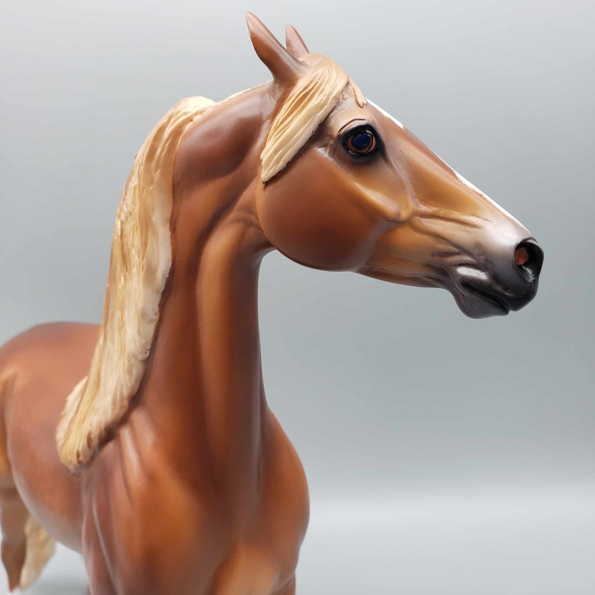 Mojave OOAK Dappled Chestnut Extreme Custom Arab Stallion Turned Into Saddlebred By Caroline Boydston Best Offers 8/7/23