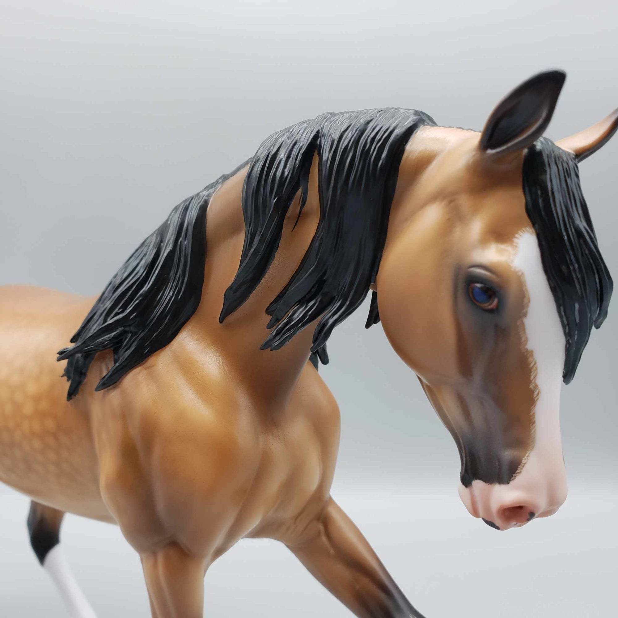 Lantana OOAK Dappled Buckskin Custom Arab Mare By Caroline Boydston Best Offers 8/7/23