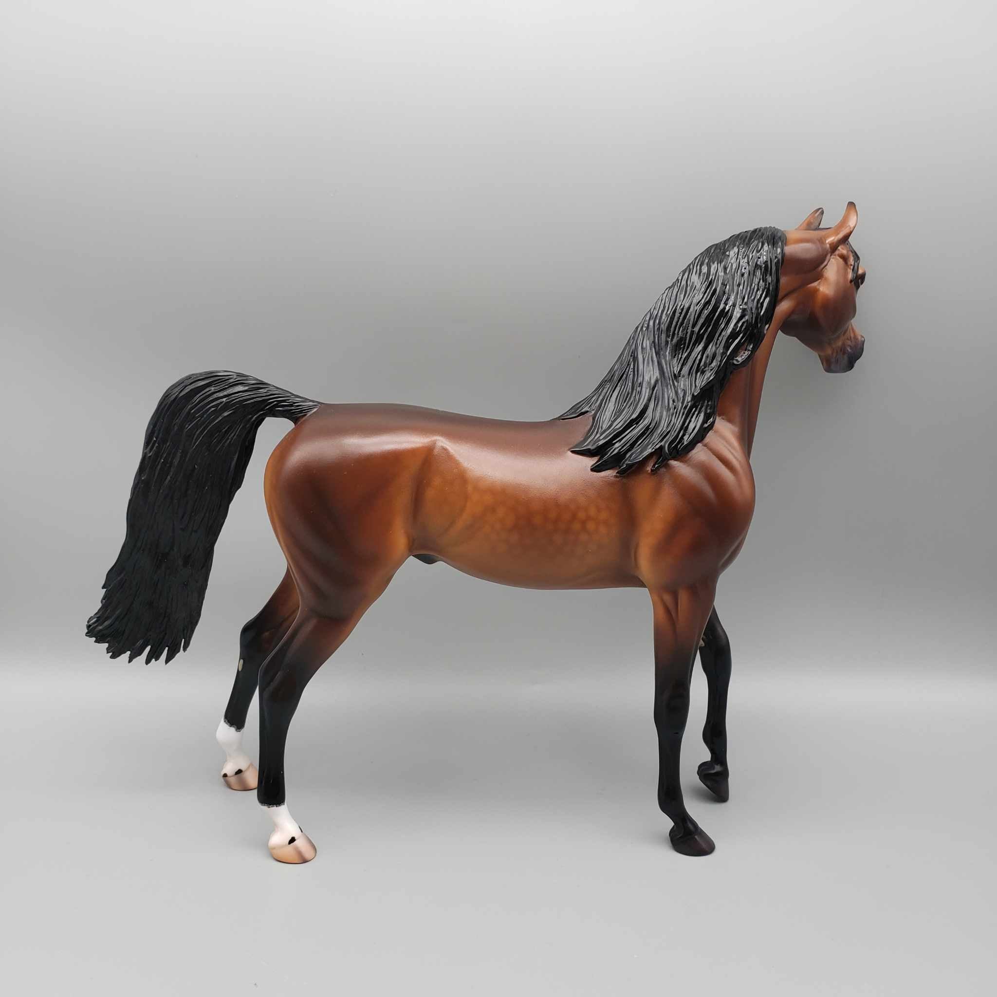Curtiss OOAK Dappled Bay Arab Stallion By Caroline Boydston Best Offer 11/13/23