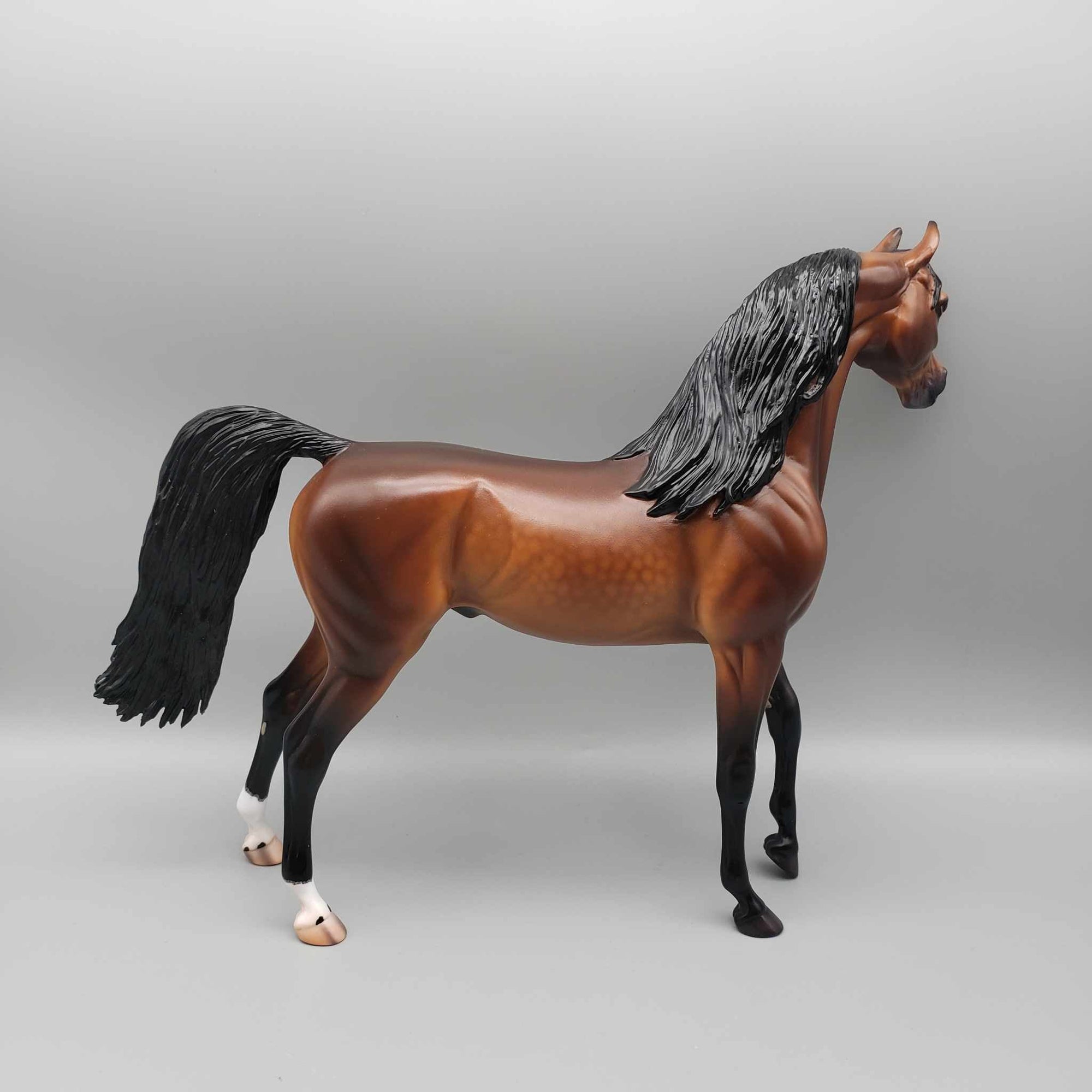 Curtiss OOAK Dappled Bay Arab Stallion By Caroline Boydston Best Offer 11/13/23