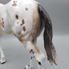 Posey OOAK Buckskin Appaloosa Mule By Sheryl Leisure Best Offers 8/21/23