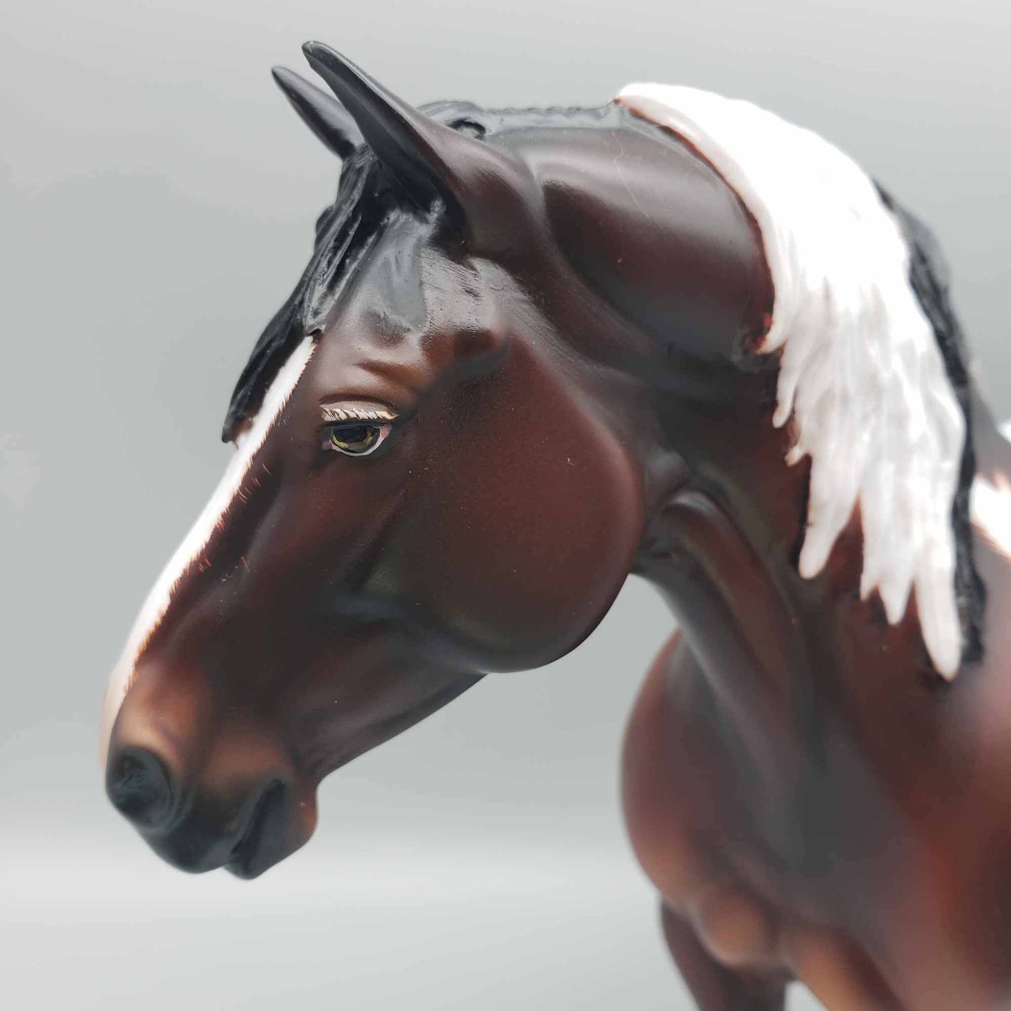 Lucy OOAK Pintaloosa Heavy Draft By Angela Marleau Best Offers 8/21/23