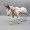 Posey OOAK Buckskin Appaloosa Mule By Sheryl Leisure Best Offers 8/21/23