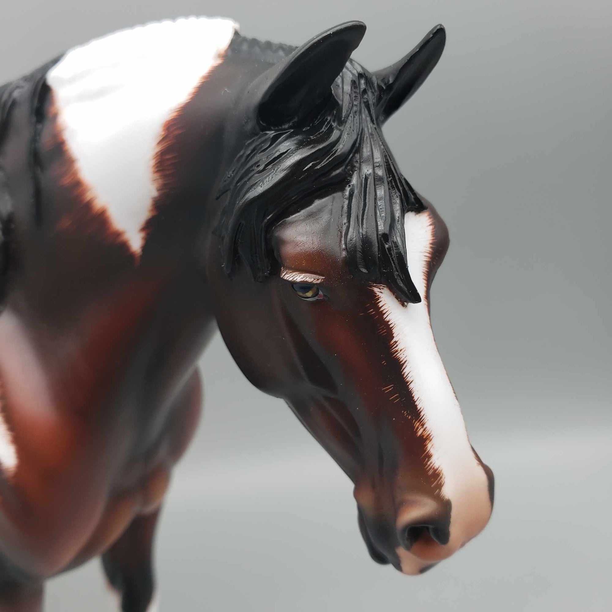 Lucy OOAK Pintaloosa Heavy Draft By Angela Marleau Best Offers 8/21/23