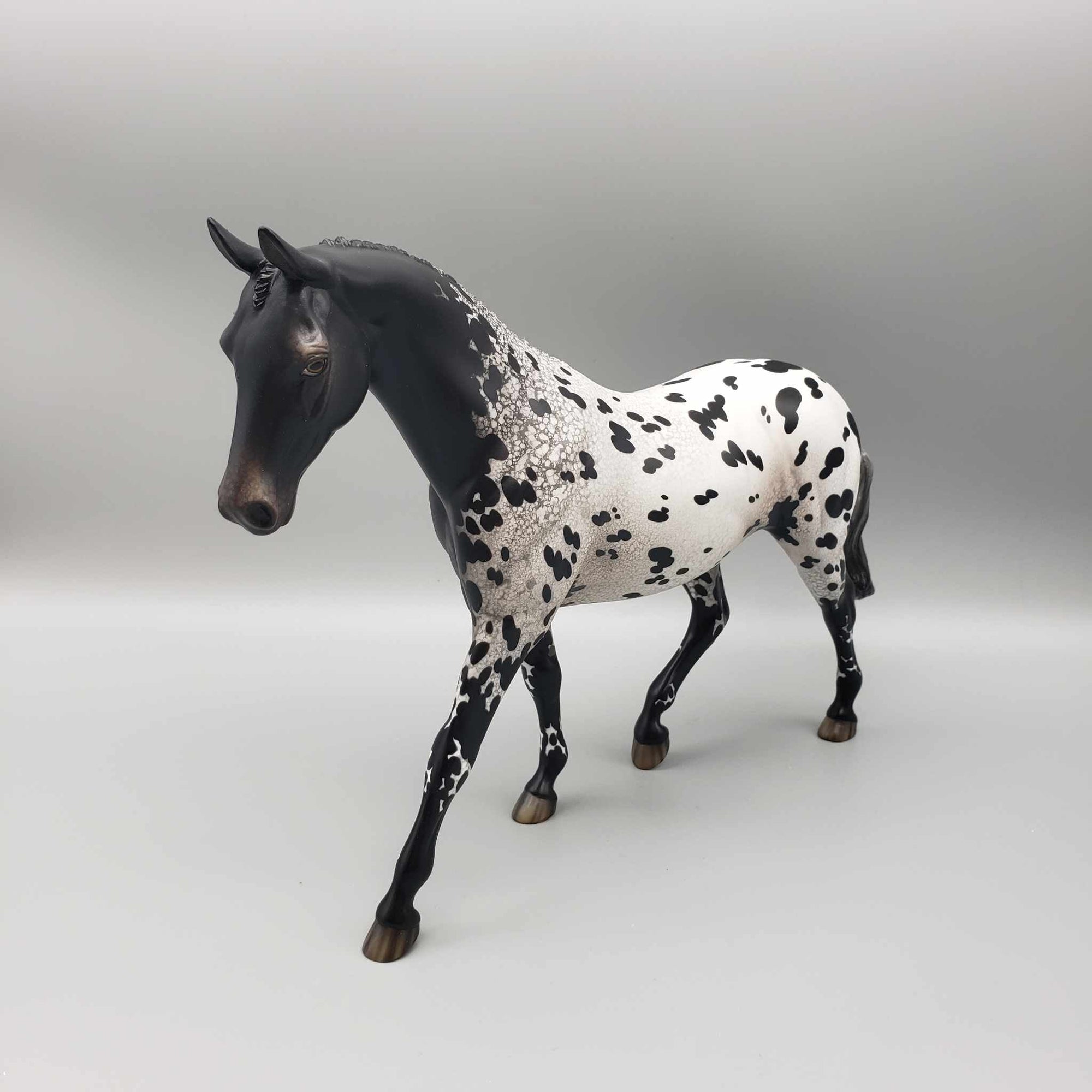 Chimney Cinders OOAK Black Appaloosa Pony By Jess Hamill Holiday Sale HS23