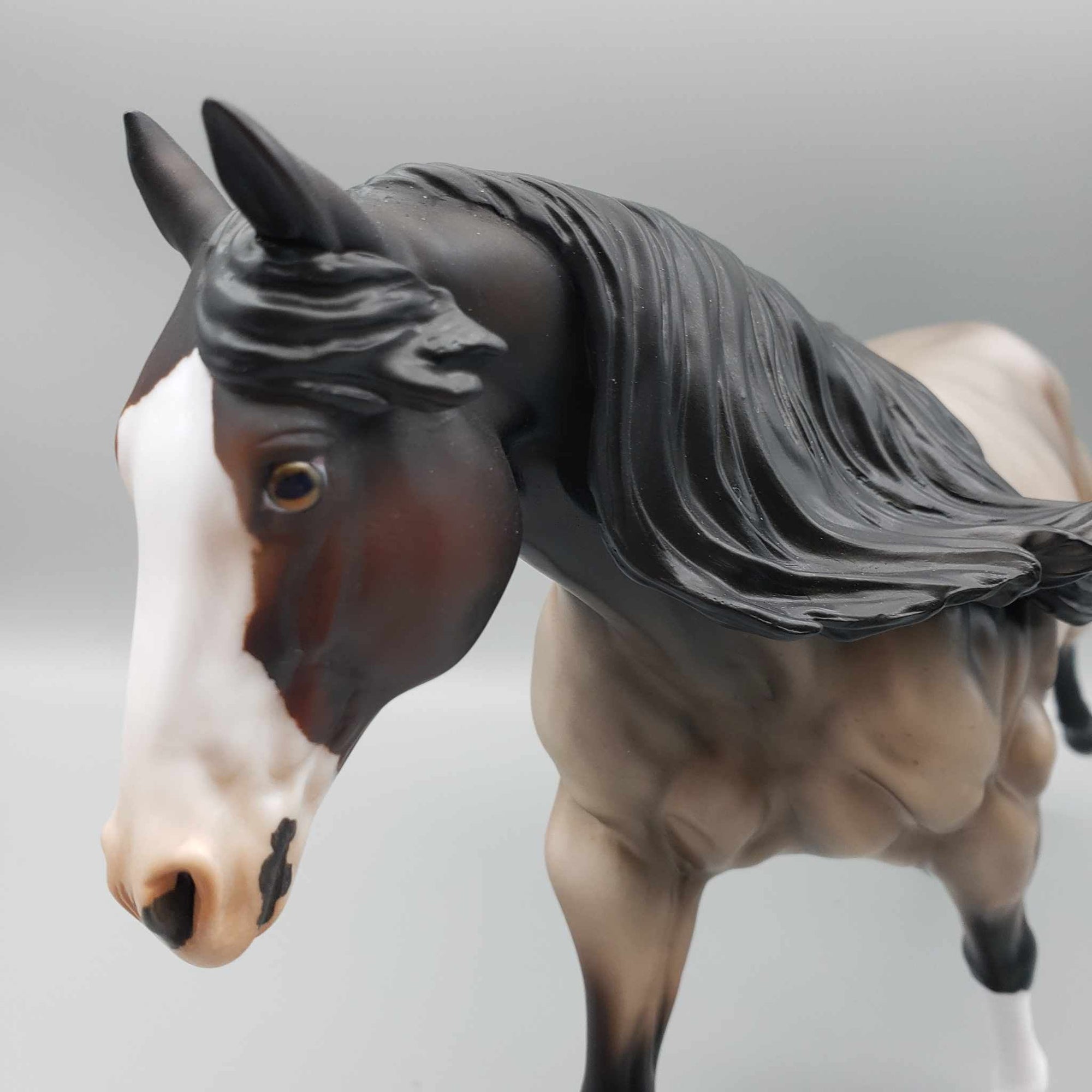 Seemingly OOAK Bay Roan Remington By Angela Marleau Moonlight Madness 2023 MM23