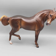Hellcat OOAK Dark Dappled Chestnut Extreme Custom Andalusian By Caroline Boydston Best Offer 11/20/23