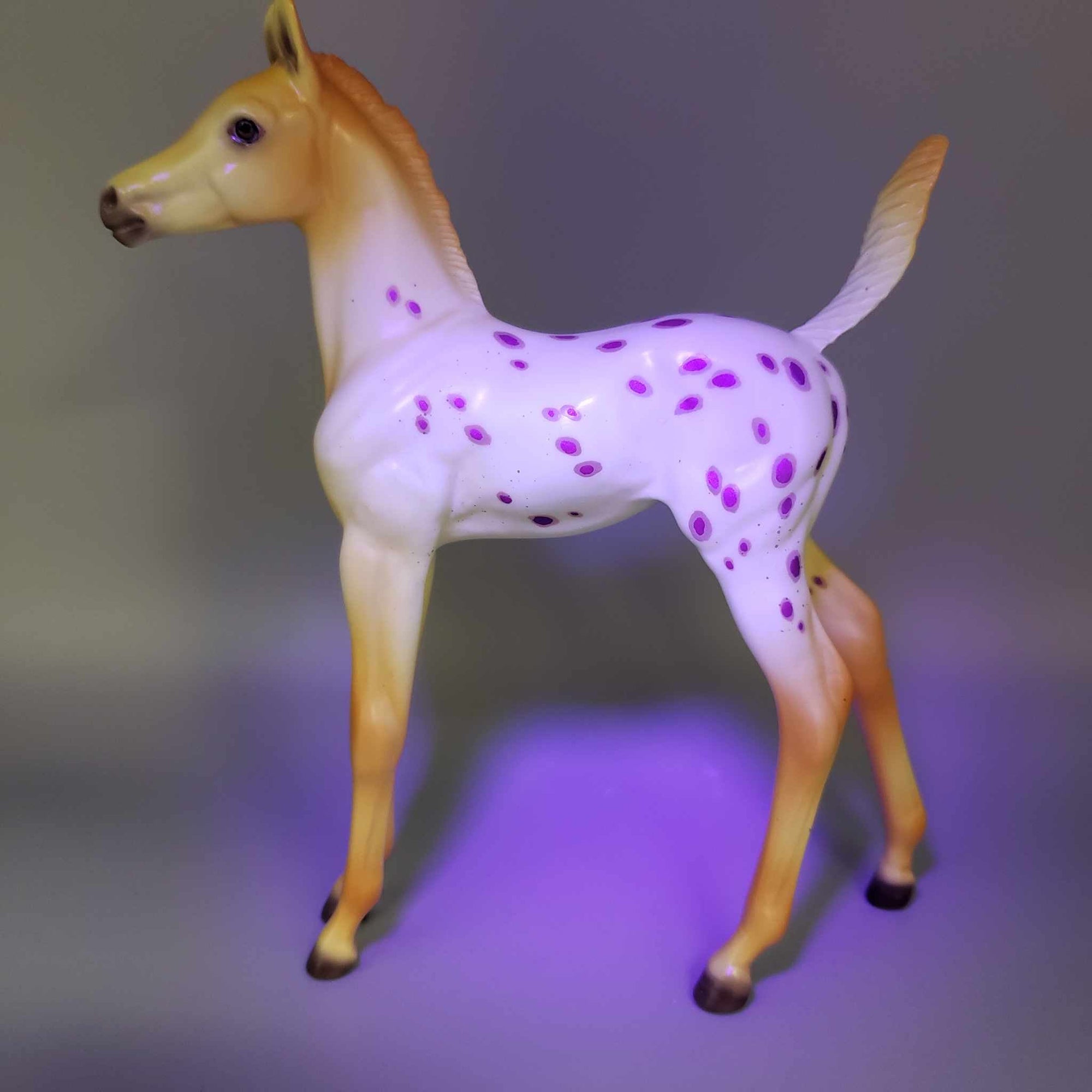 Witches Brew OOAK Halloween Deco Orange / Purple Blanket Appaloosa Arabian Foal Pebble By Ellen Robbins Moonlight Madness 2023 MM23