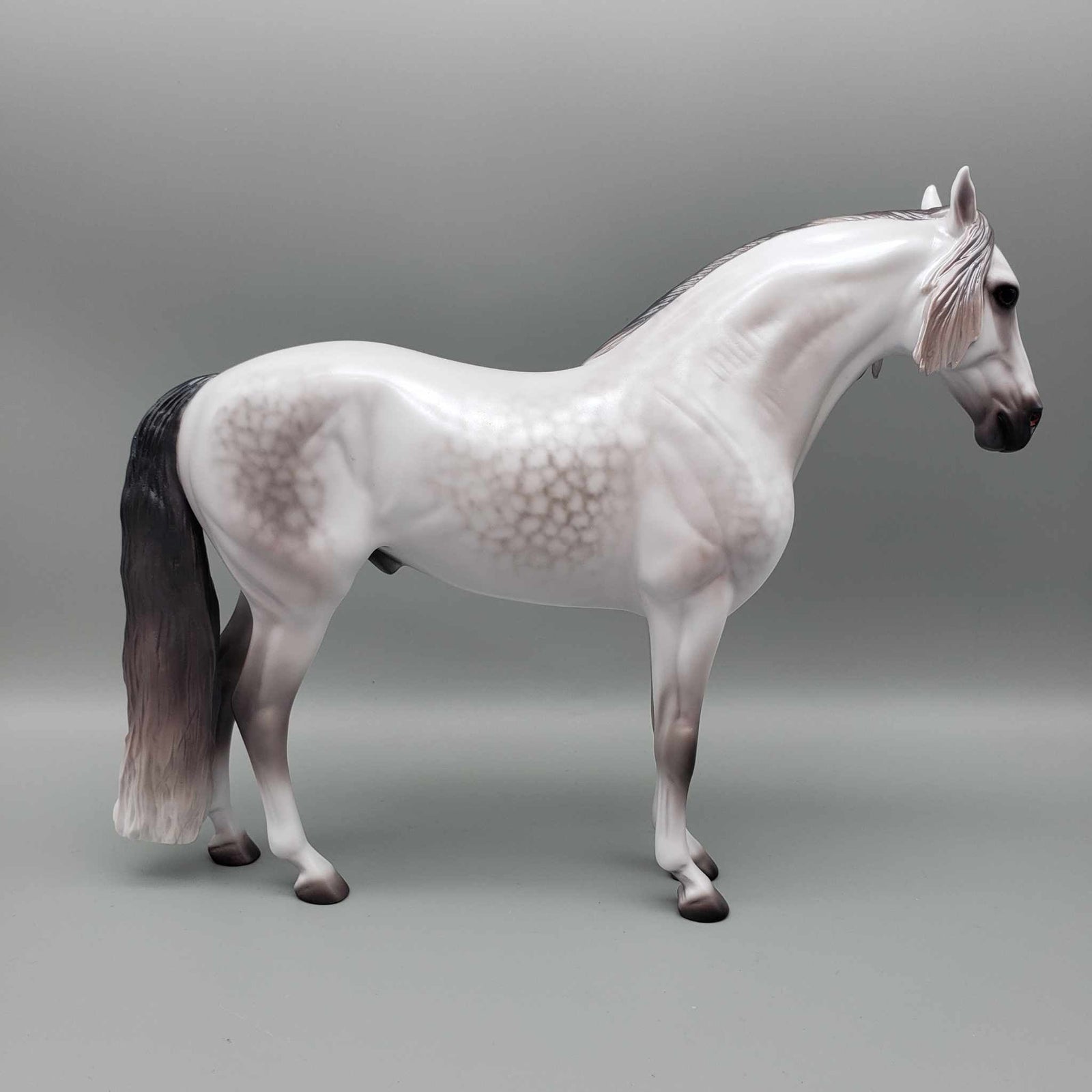 Ascender OOAK Dappled Grey Andalusian By Caroline Boydston Best Offer 11/13/23