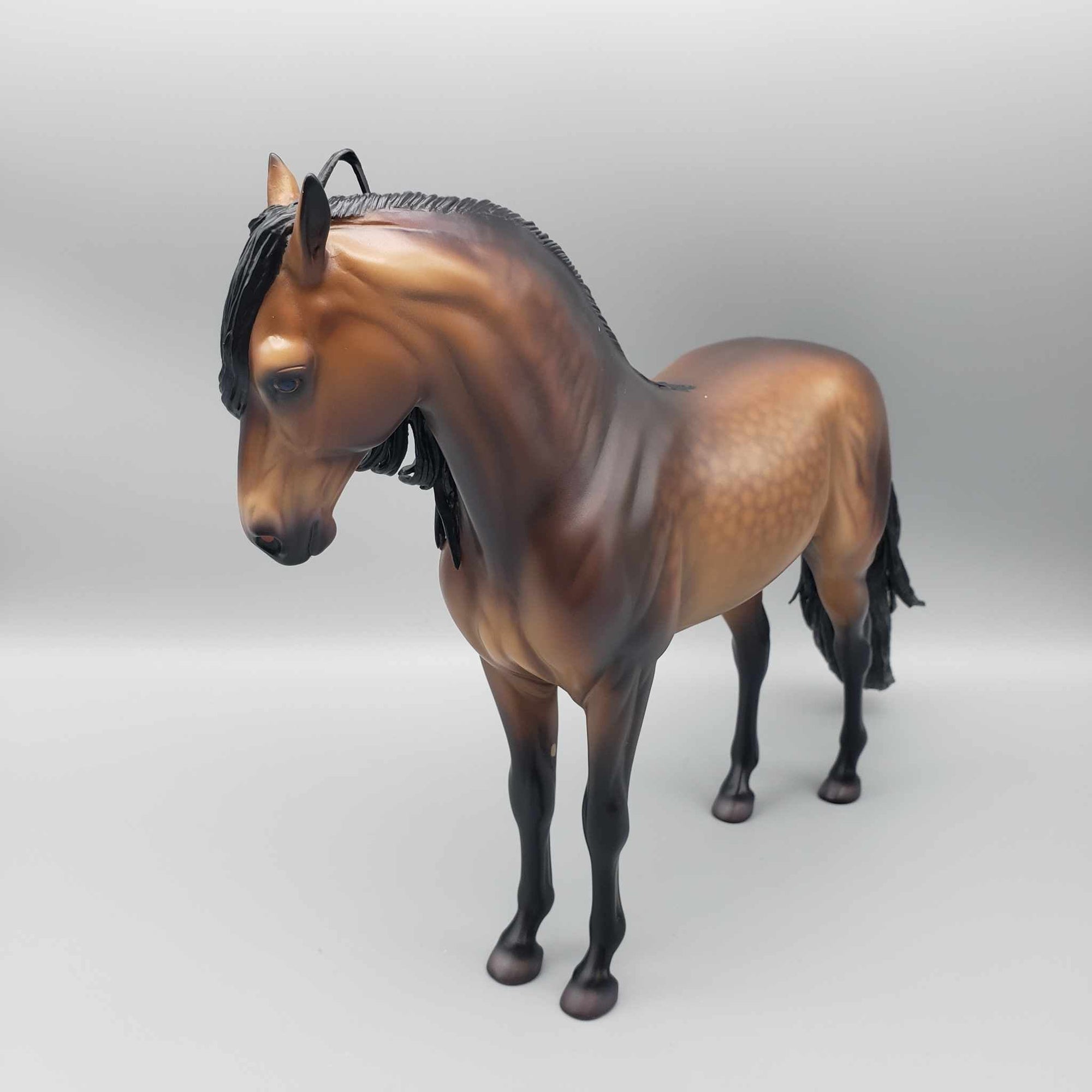 Vought OOAK Dappled Sooty Buckskin Andalusian By Caroline Boydston Best Offer 11/20/23