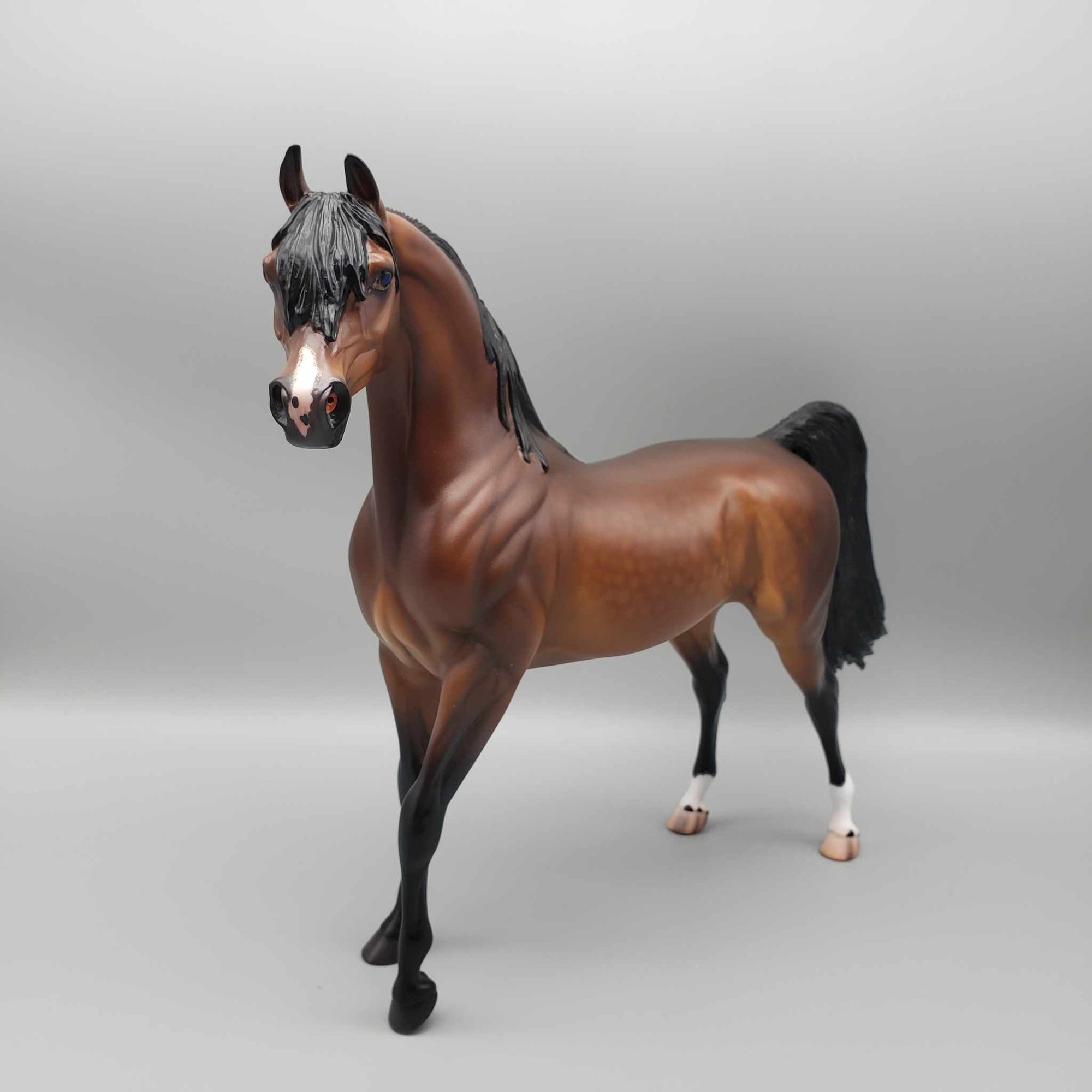 Curtiss OOAK Dappled Bay Arab Stallion By Caroline Boydston Best Offer 11/13/23